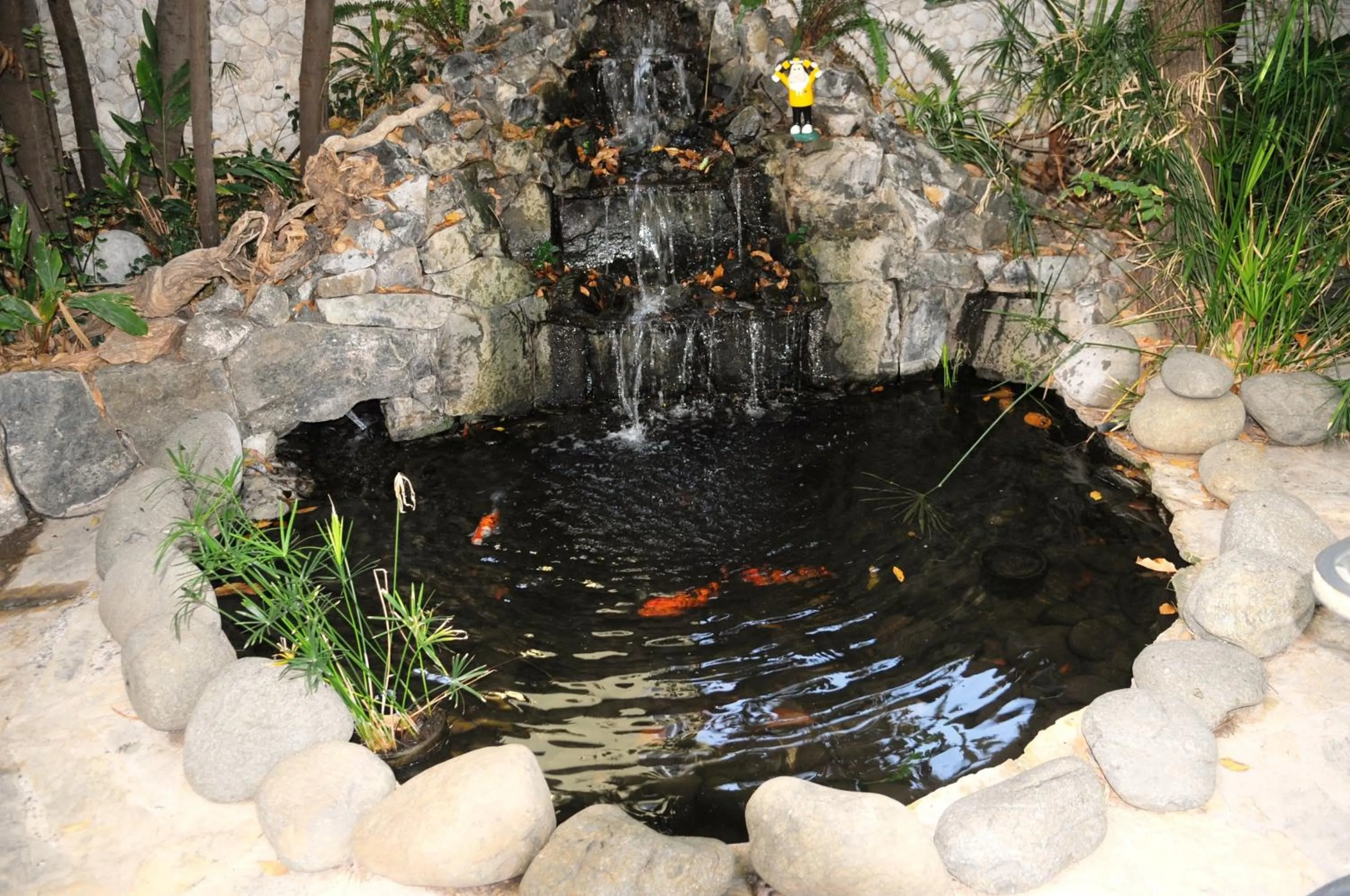 Animals in Navy Hotel