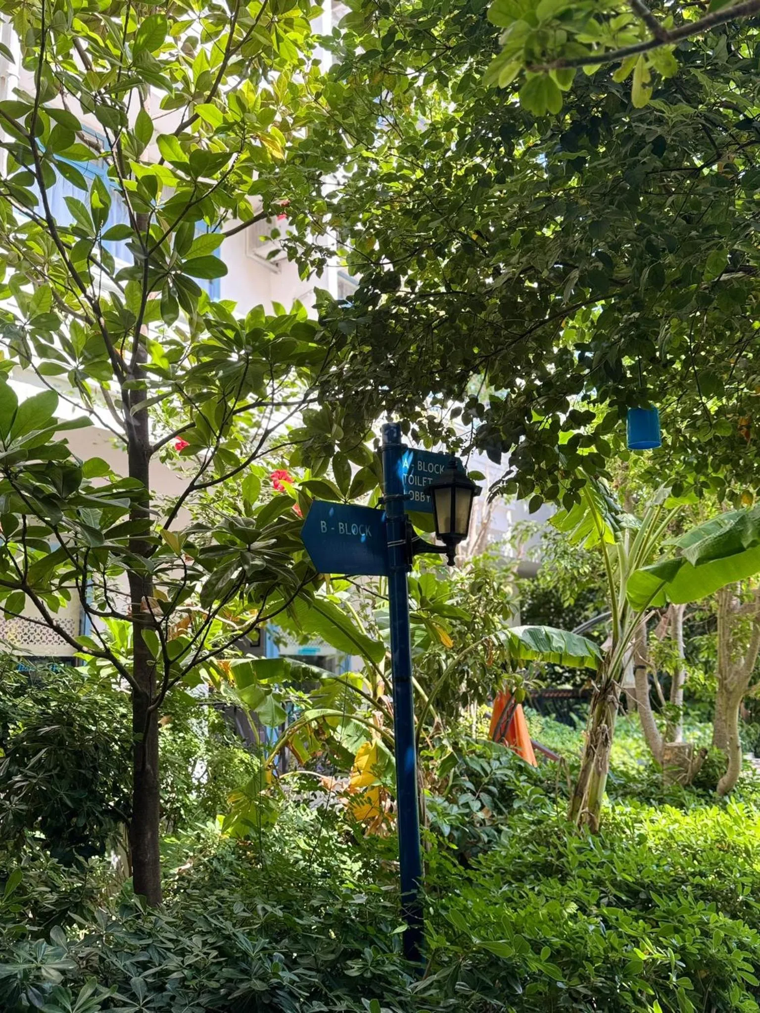 Garden in Navy Hotel