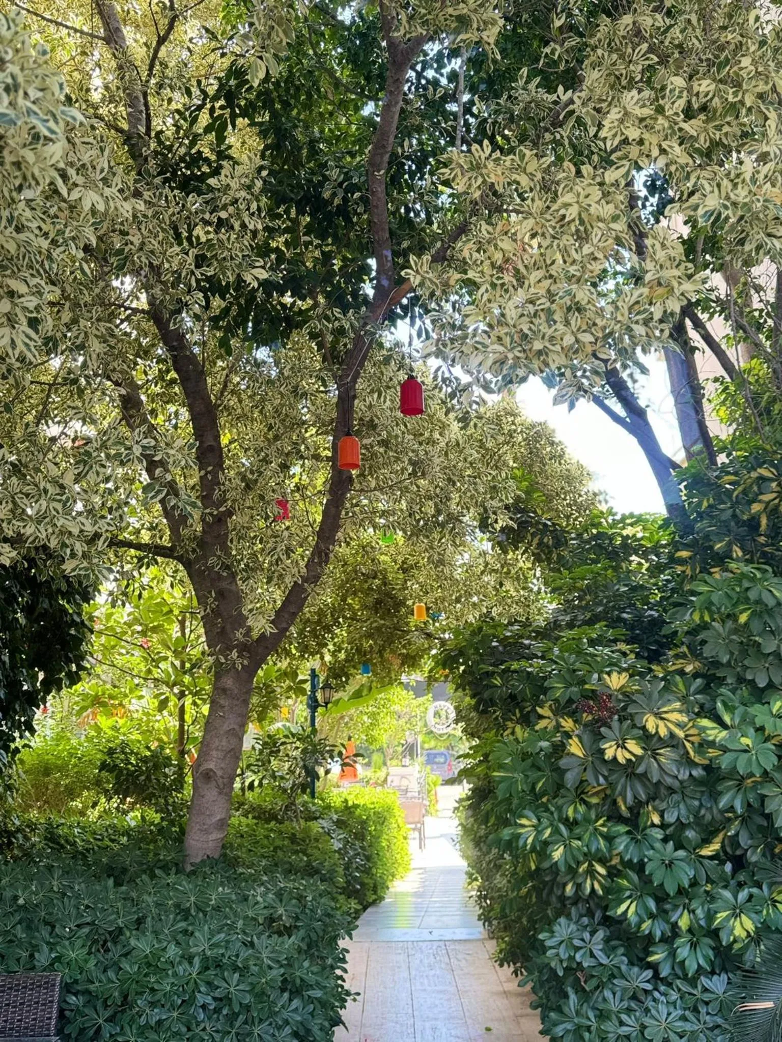 Garden in Navy Hotel