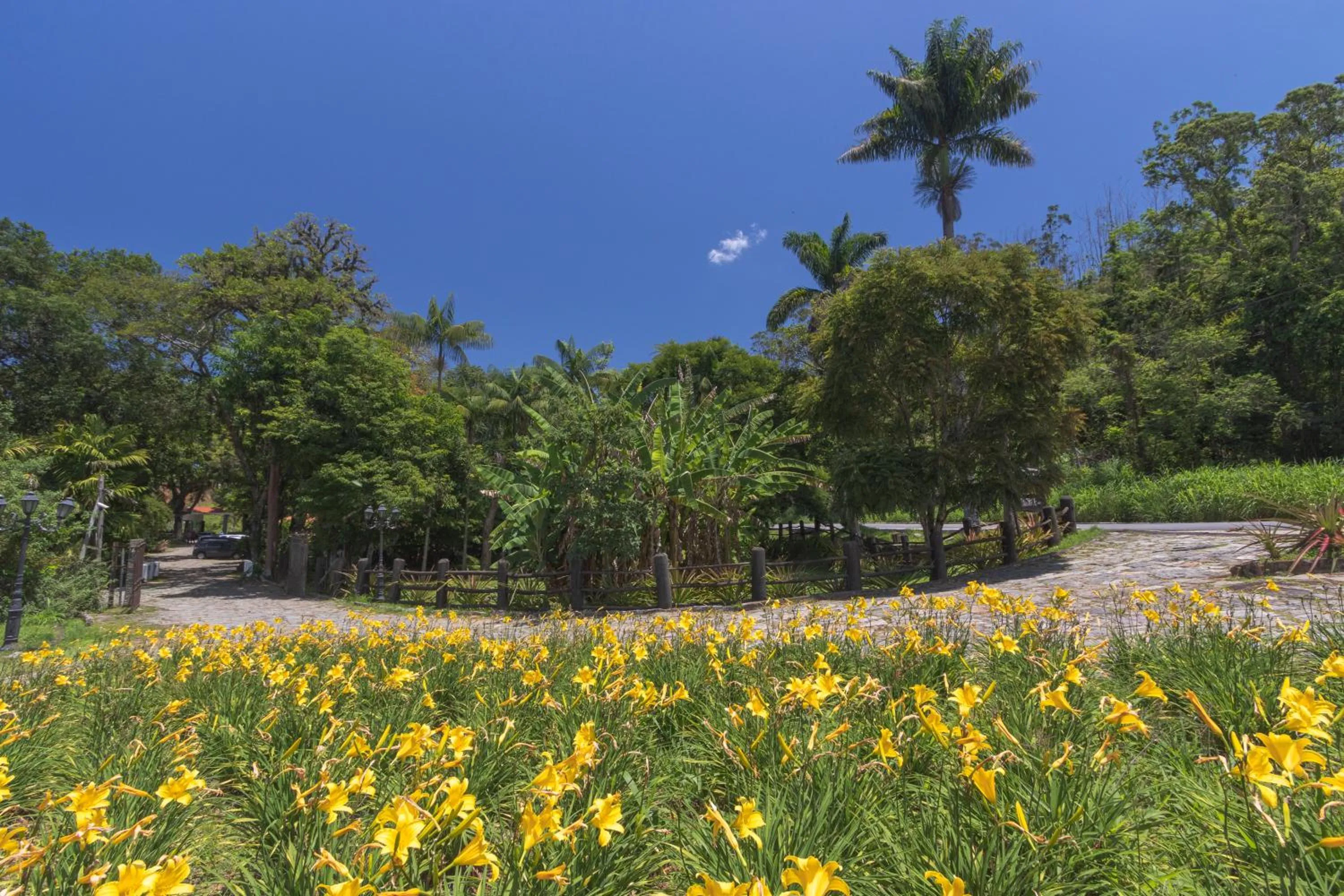 Garden in Resort Fazenda 3 Pinheiros