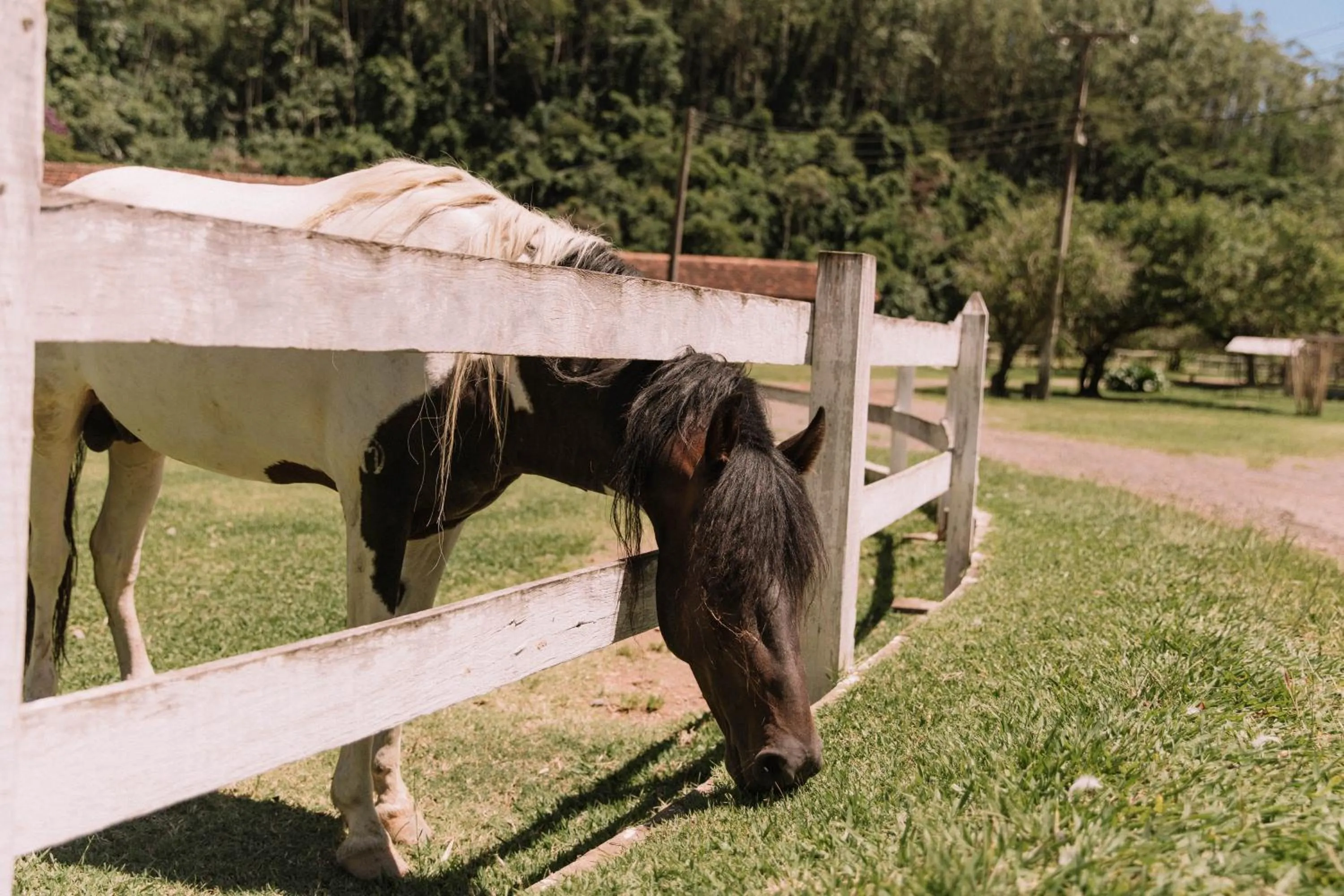 Day in Resort Fazenda 3 Pinheiros