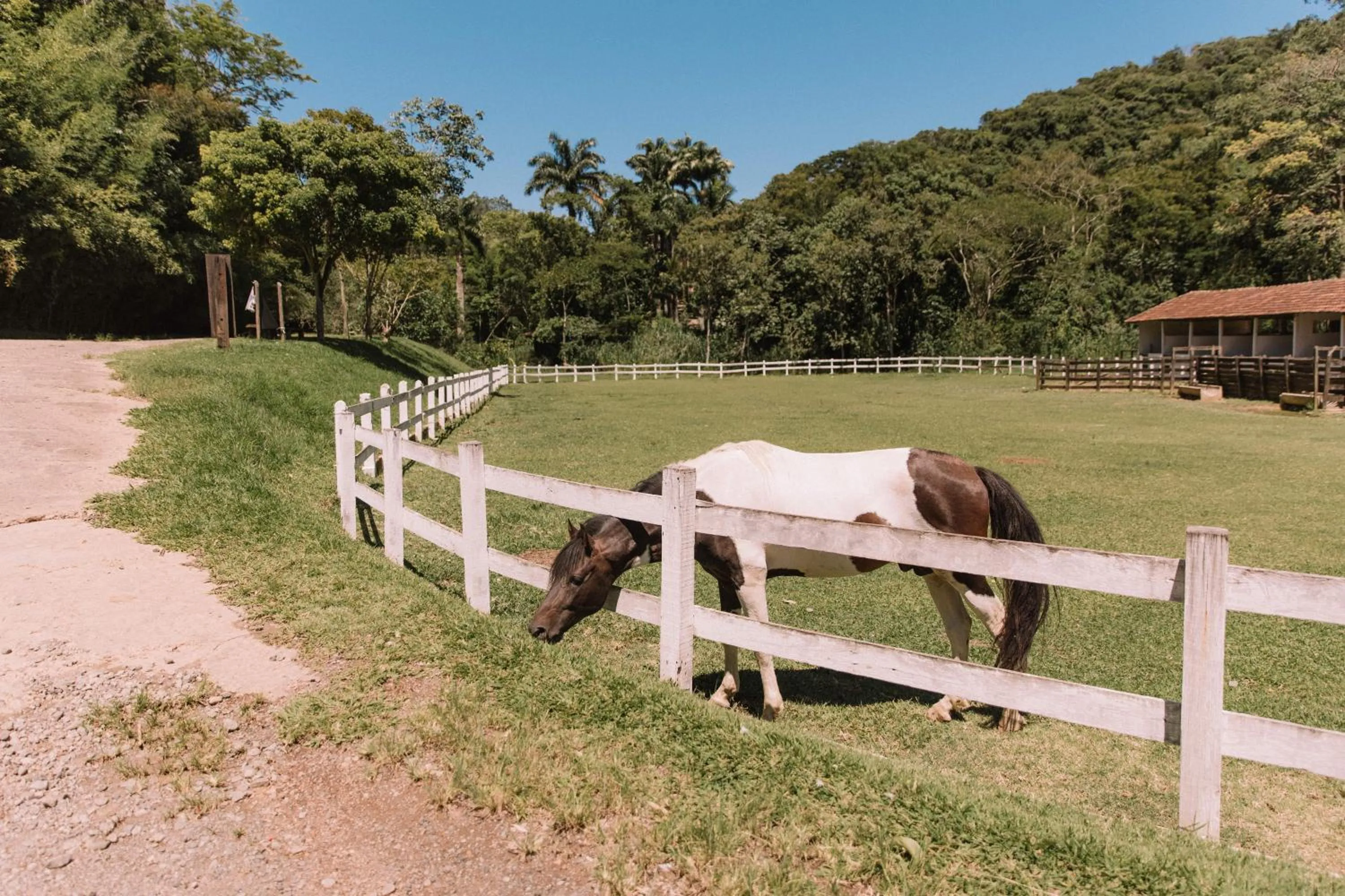Spring in Resort Fazenda 3 Pinheiros