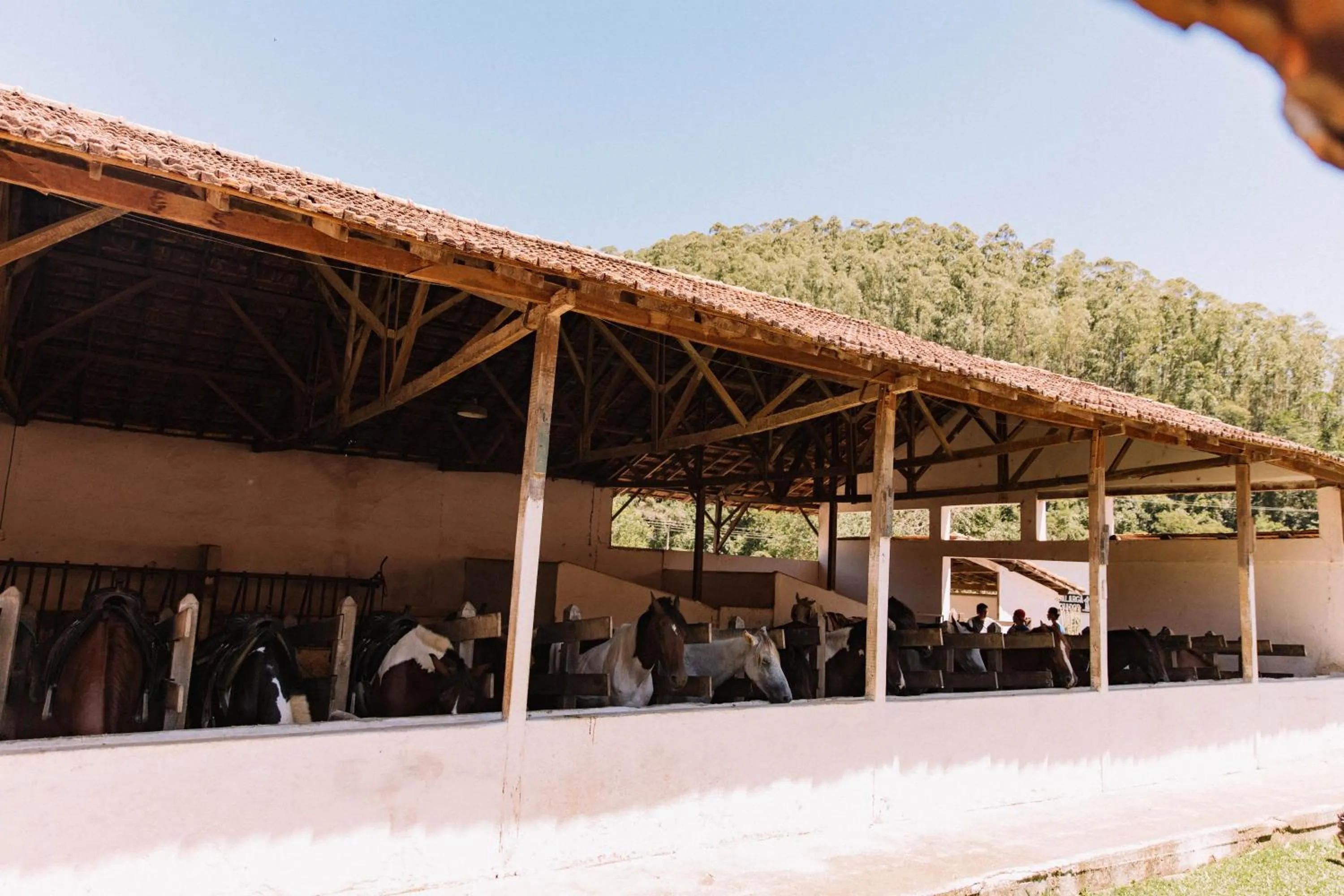 Day in Resort Fazenda 3 Pinheiros