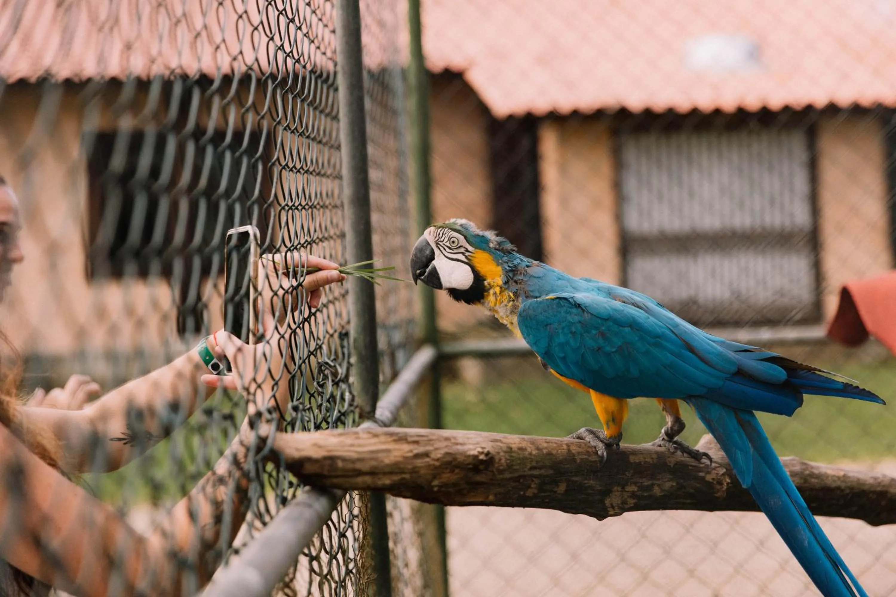 Day in Resort Fazenda 3 Pinheiros