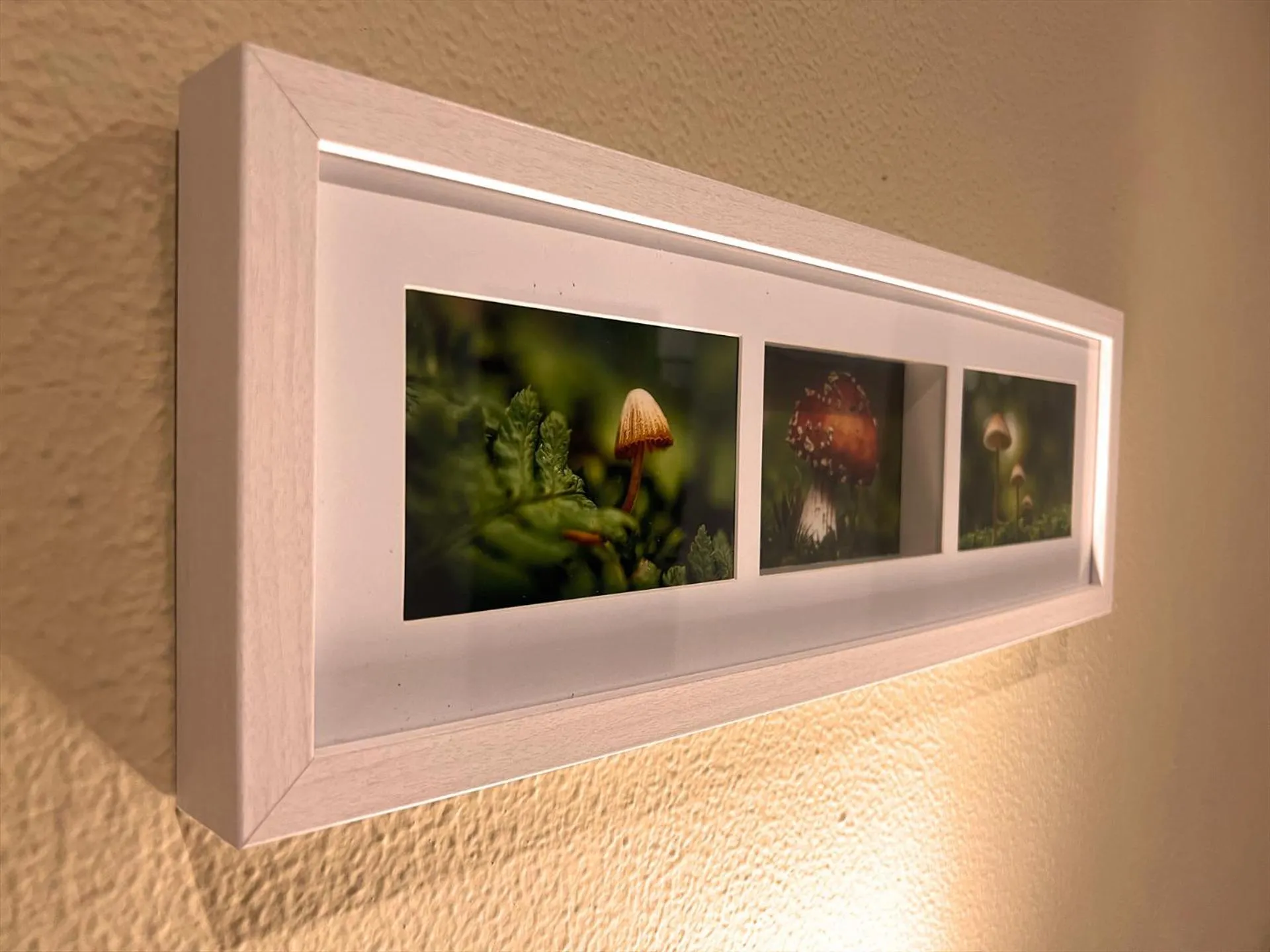 Decorative detail in La Janda