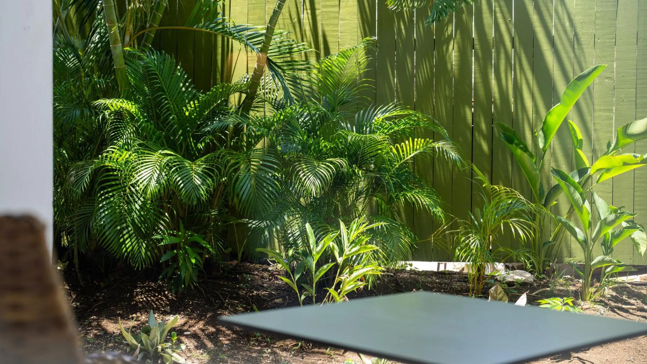 Patio in Travellers Beach Resort