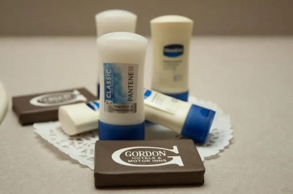 Bathroom in Assiniboine Gordon Inn on the Park