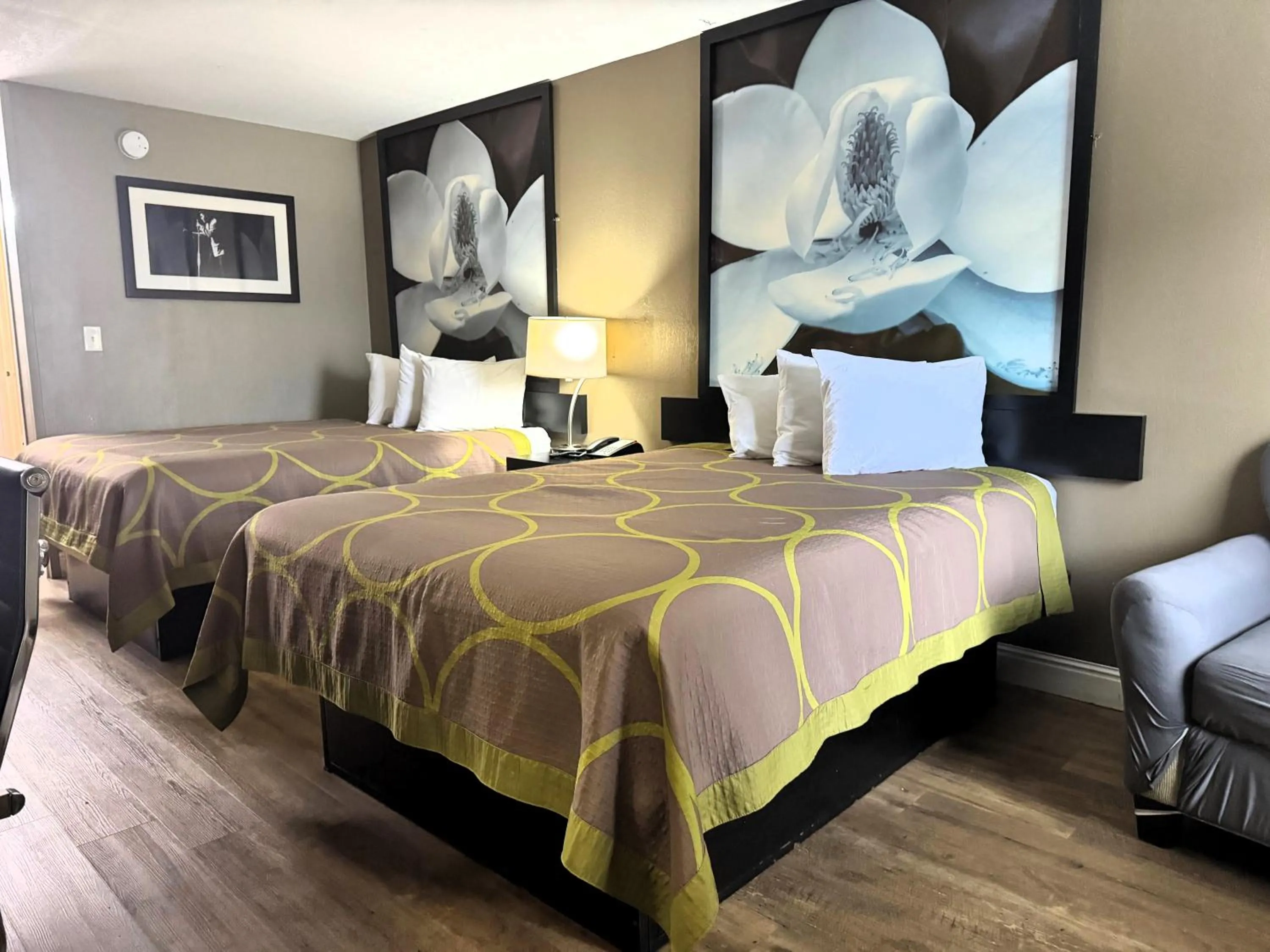 Bedroom, Bed in Super 8 by Wyndham Tupelo Airport