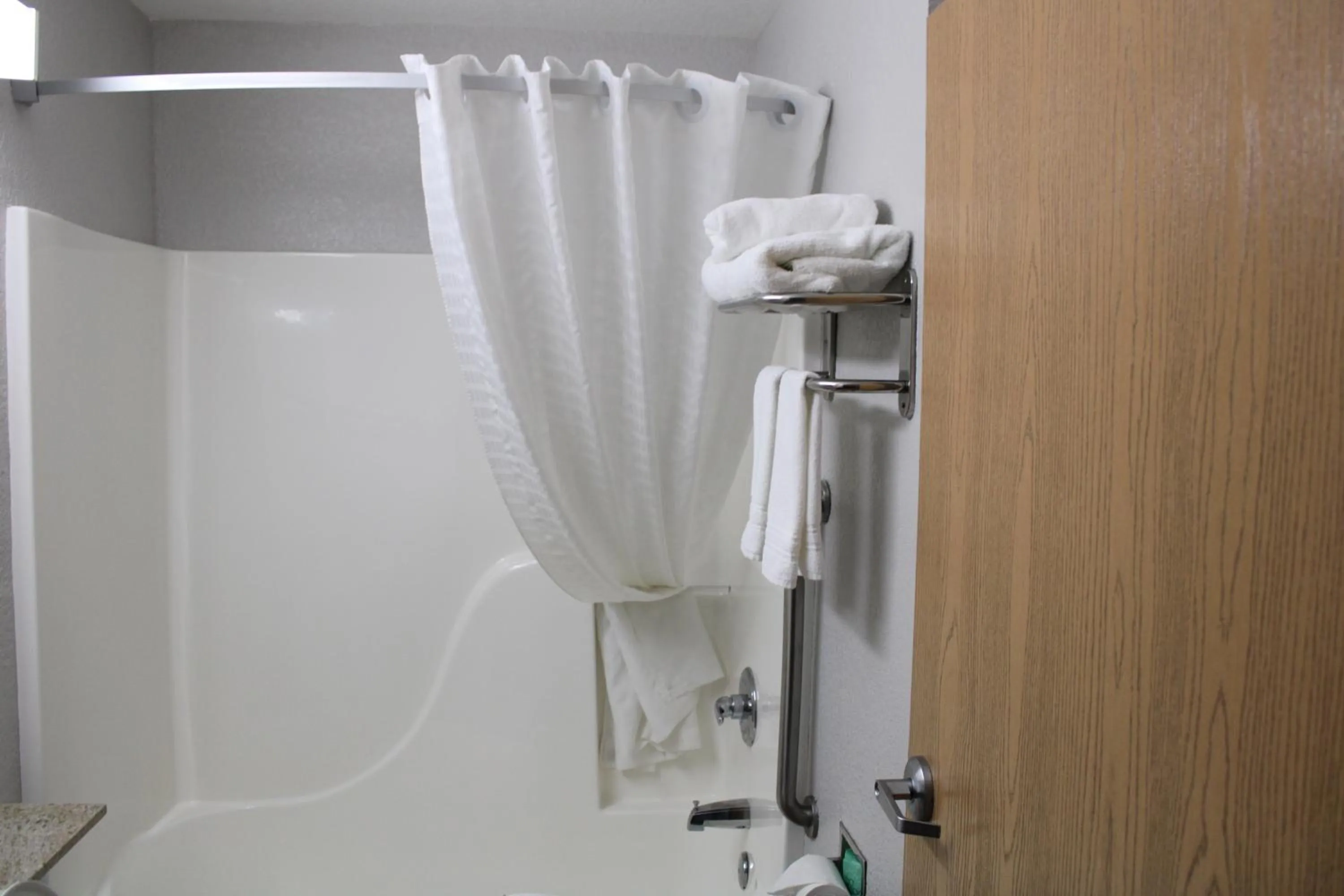Shower in Microtel Inn & Suites by Wyndham Albertville
