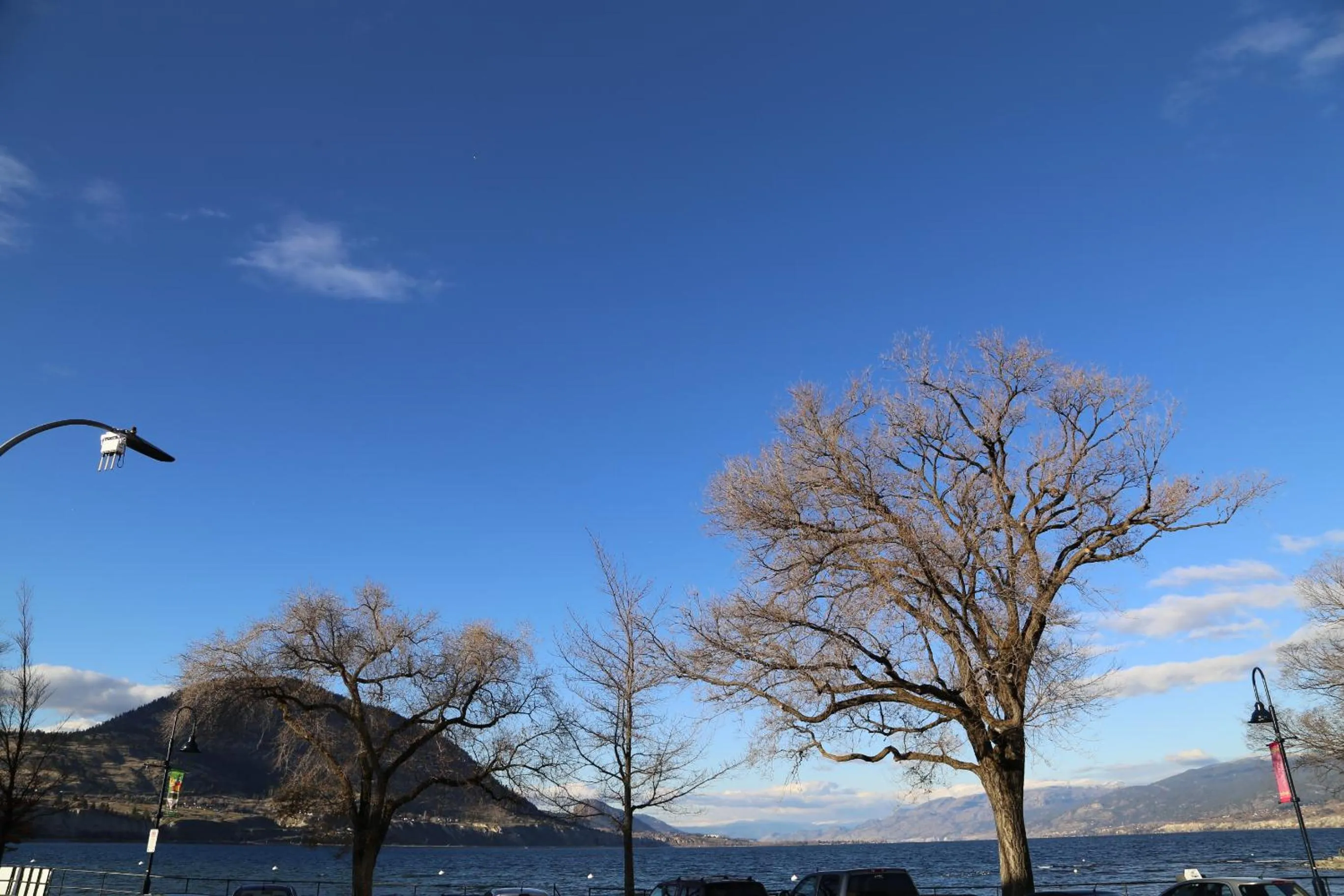 Natural landscape in SlumberLodge Hotel
