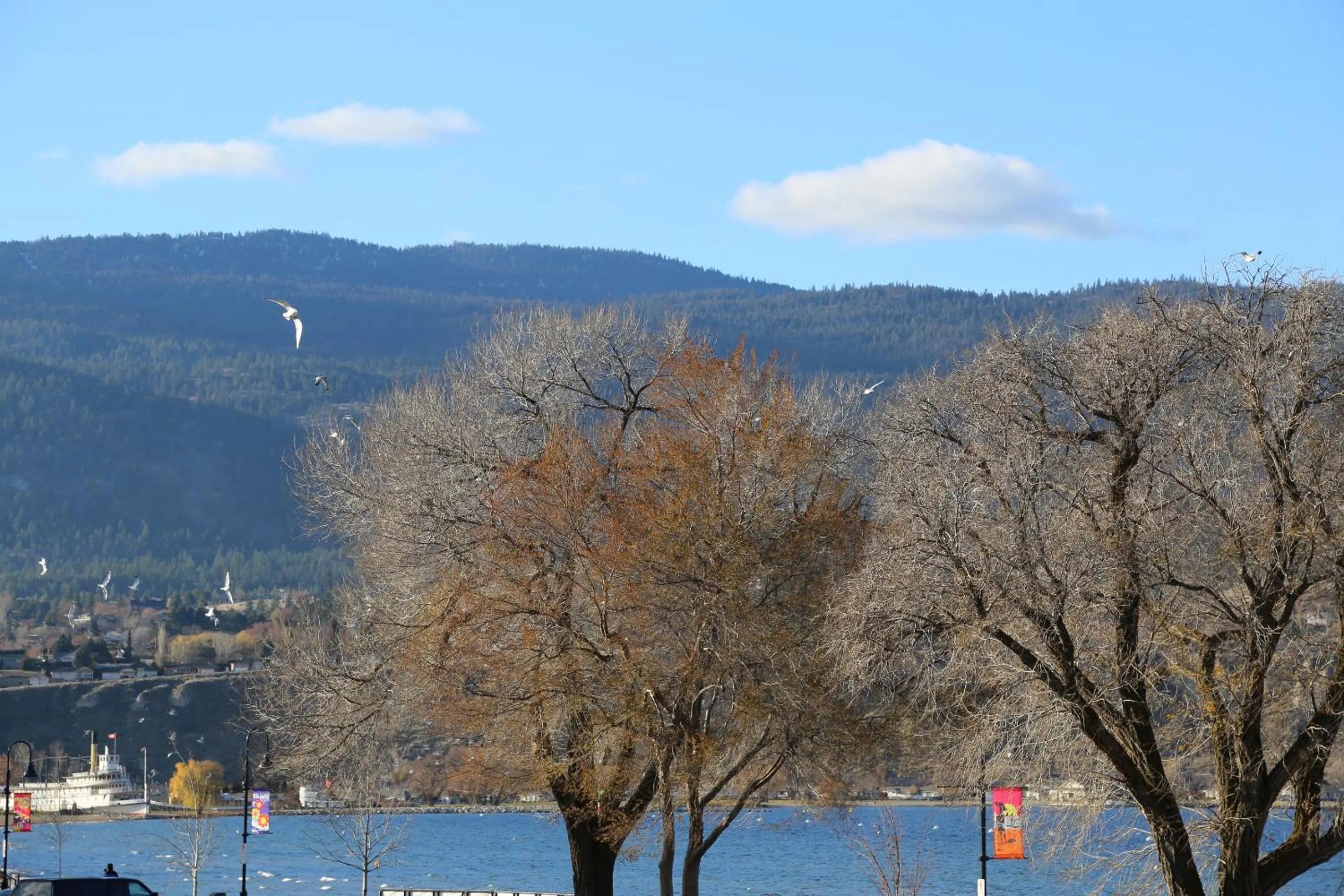 Natural landscape in SlumberLodge Hotel