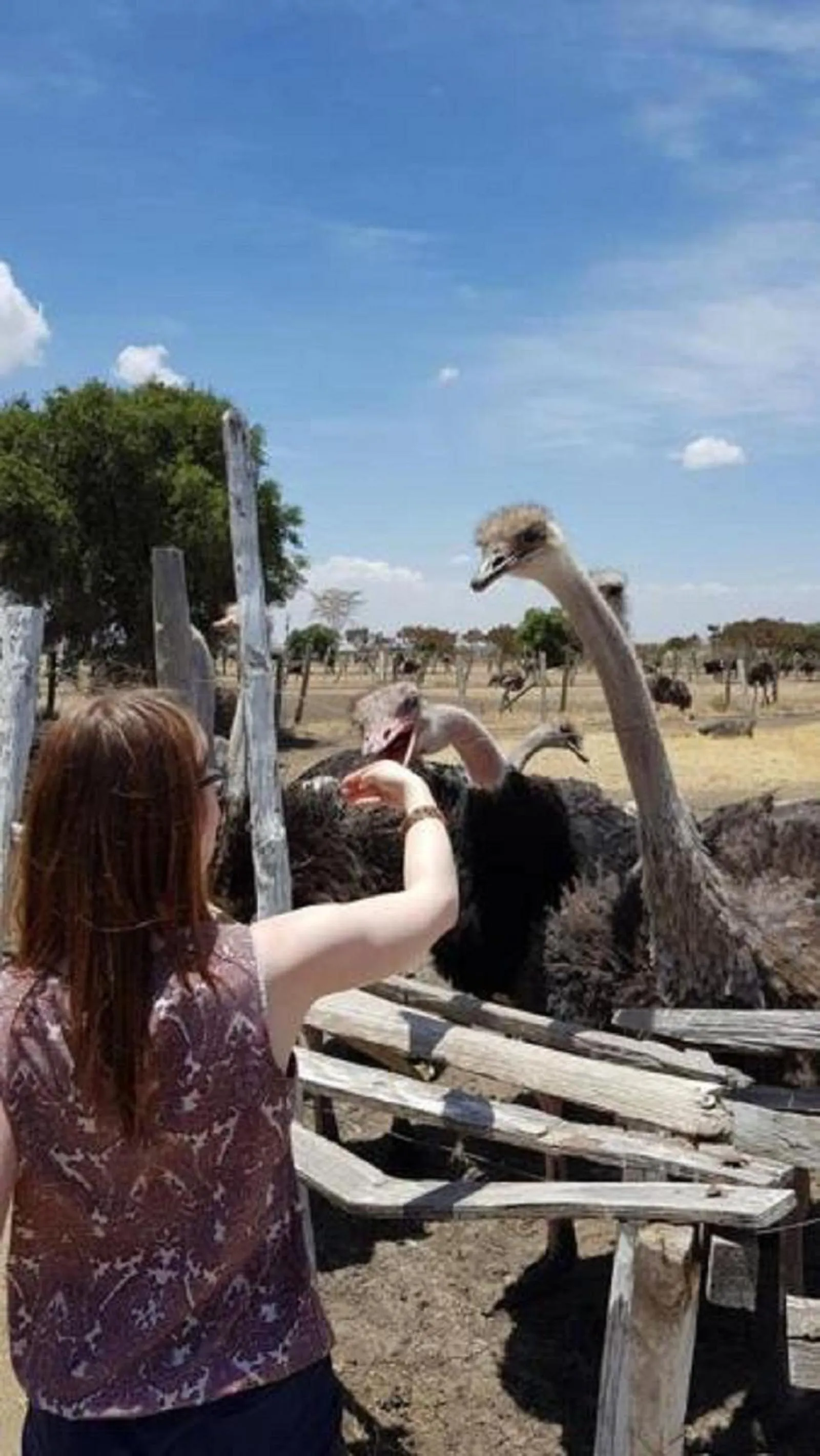 group of guests in Palm Nest - Near JKIA