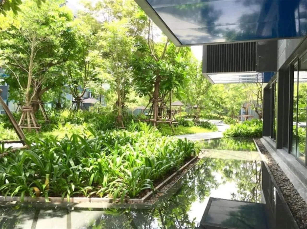 Patio in The Deck Patong by VIP