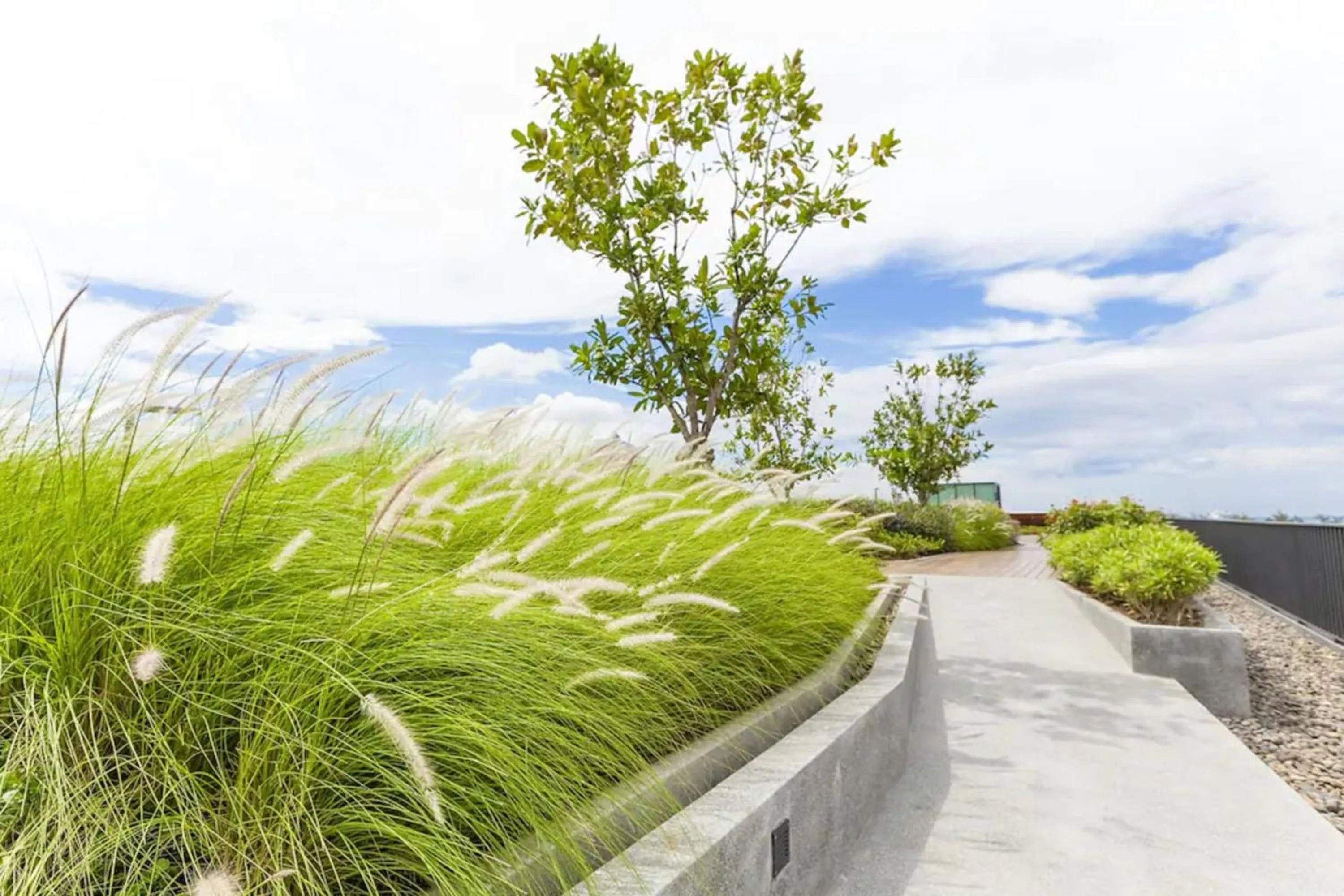 Natural landscape in The Deck Patong by VIP