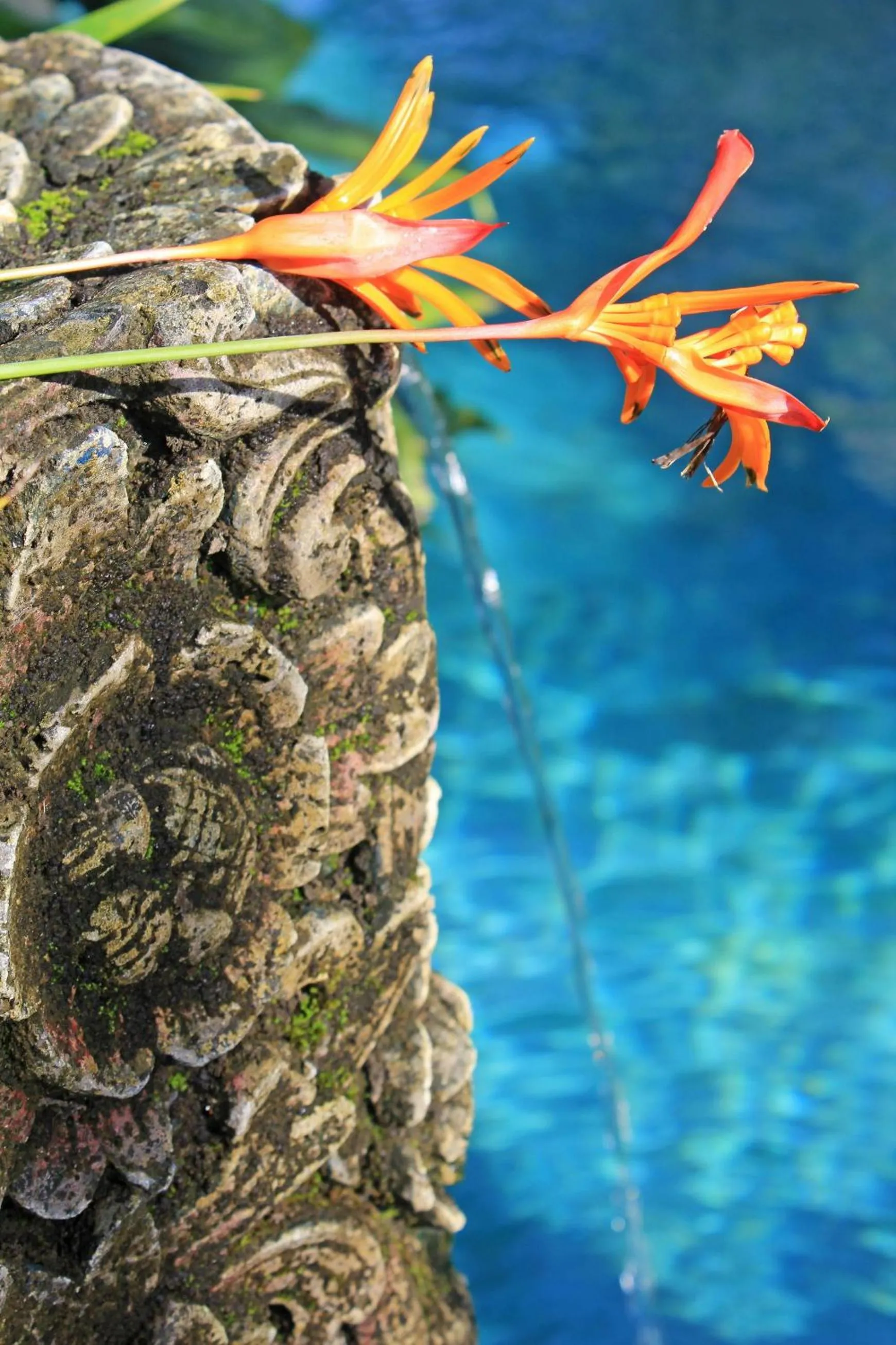 Decorative detail in Uma Karan