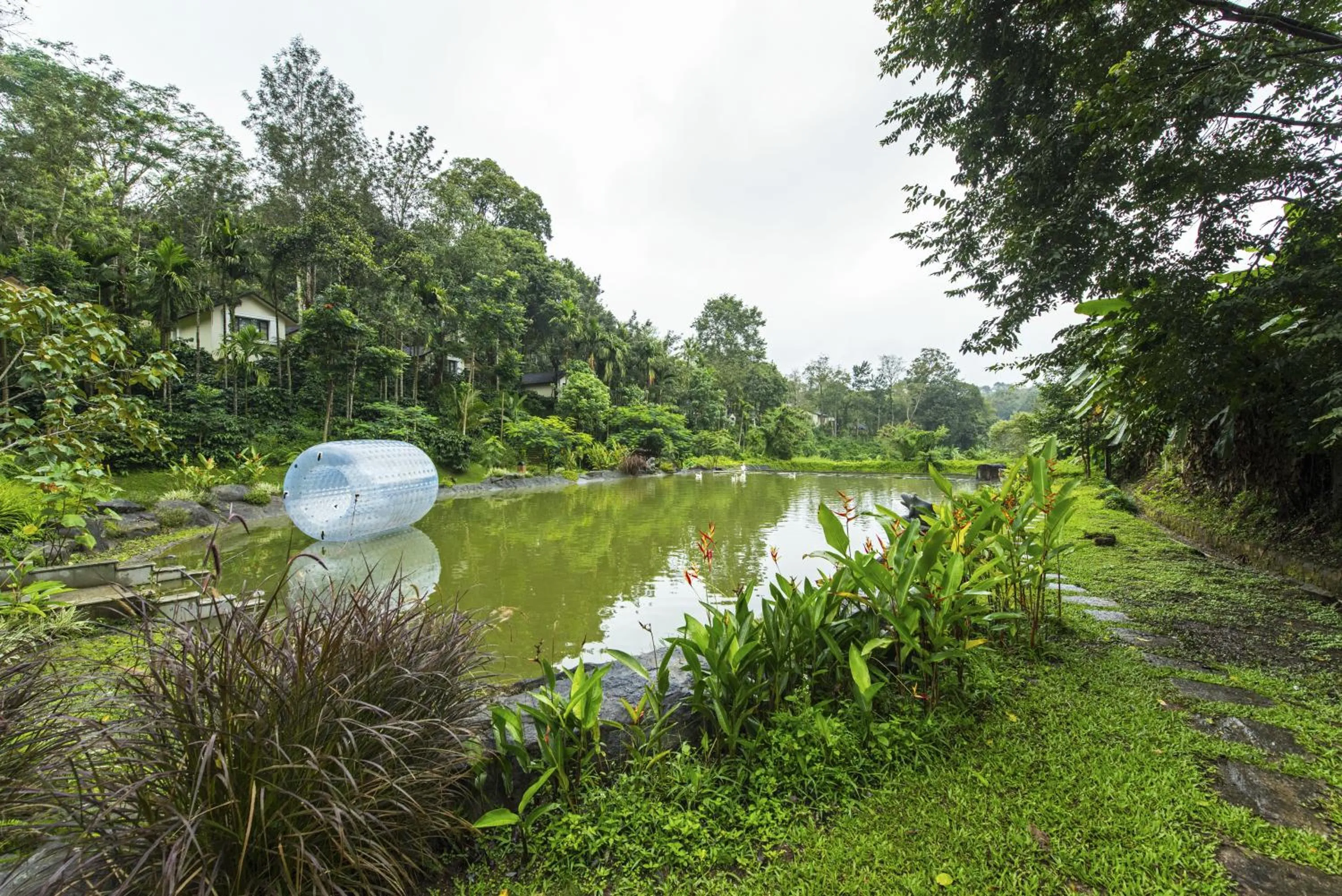 Natural landscape in The Windflower Resort & Spa, Coorg
