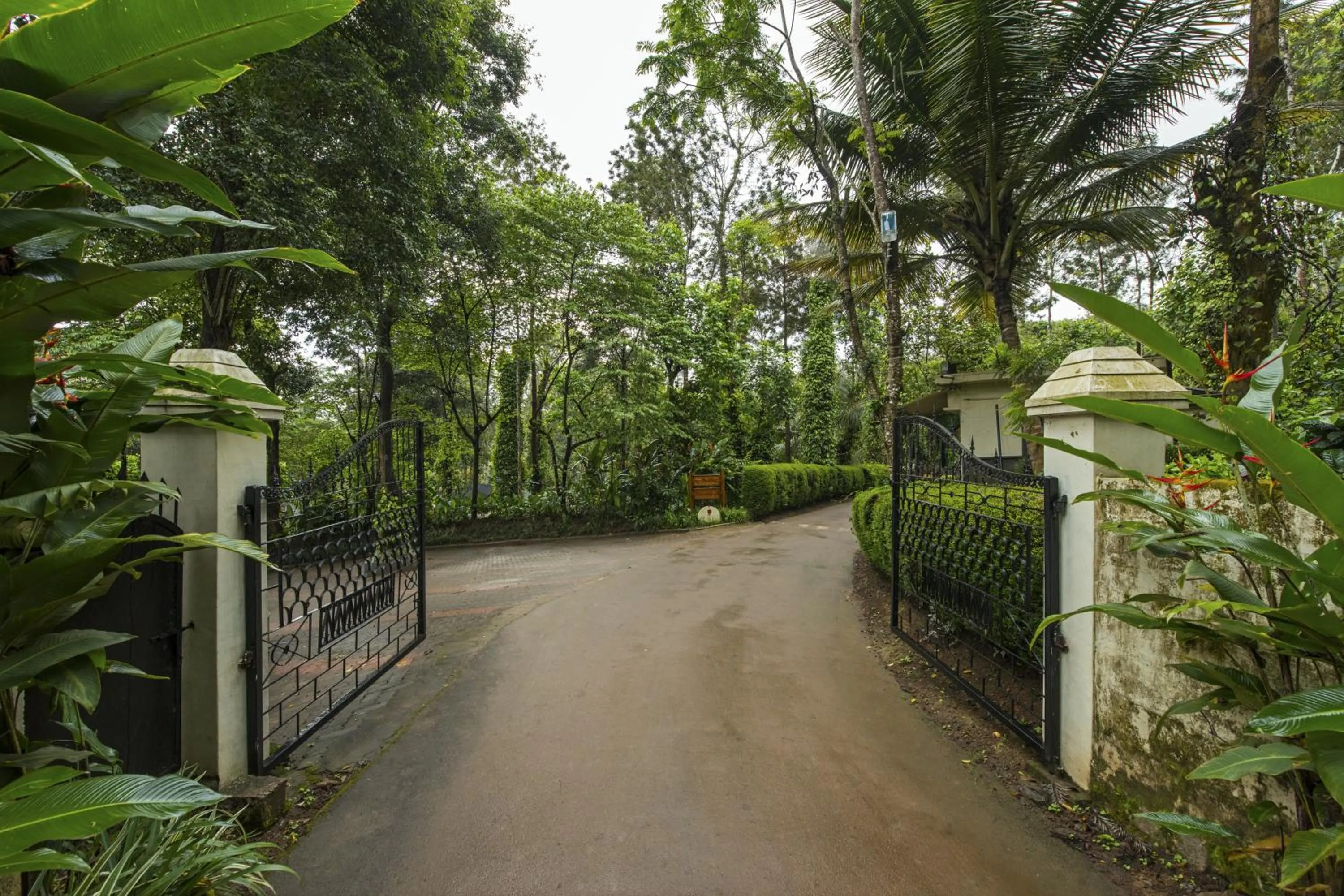Area and facilities in The Windflower Resort & Spa, Coorg
