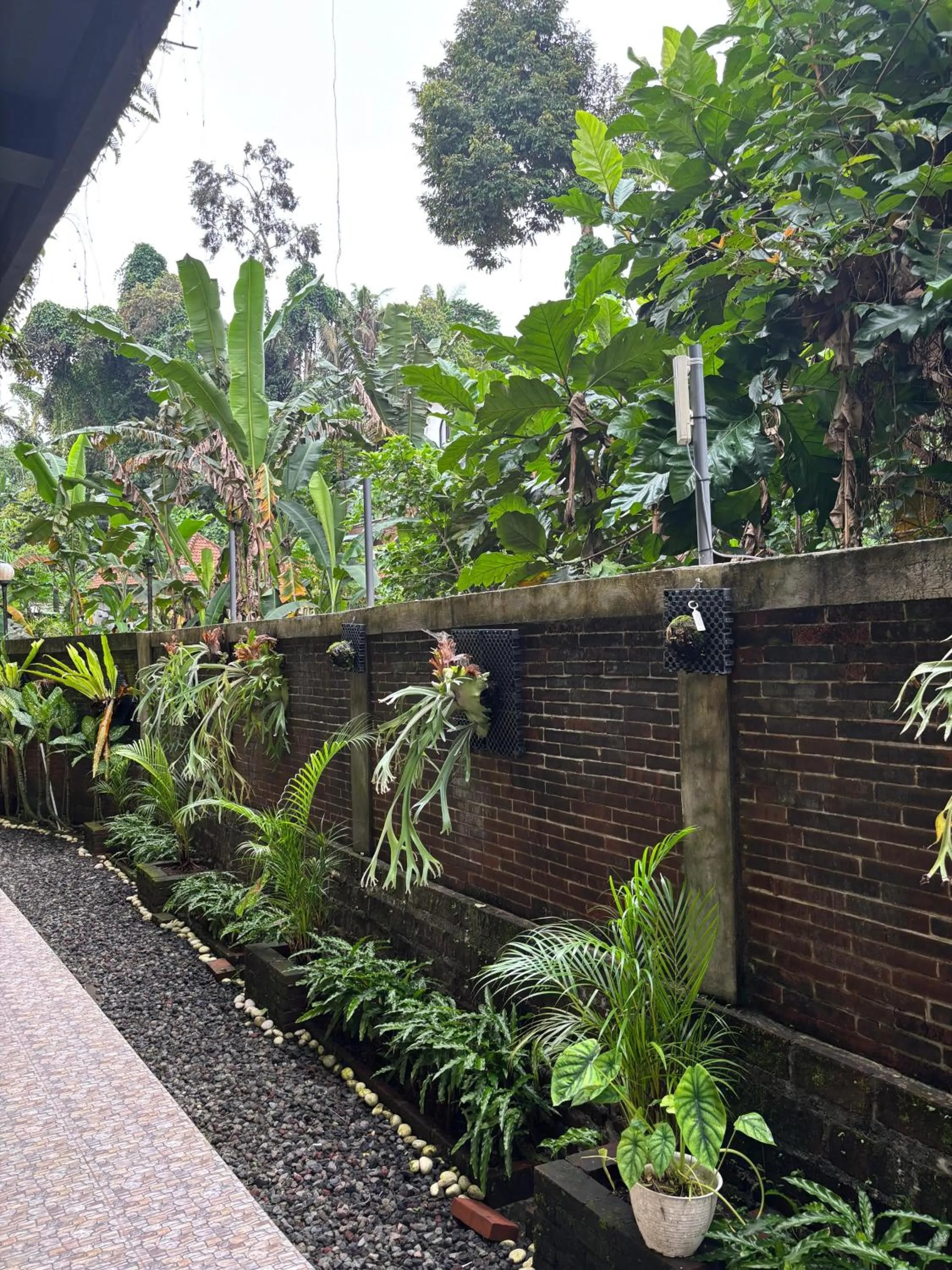 Garden view in Adi Jaya Cottages Ubud Suites by EPS - CHSE Certified