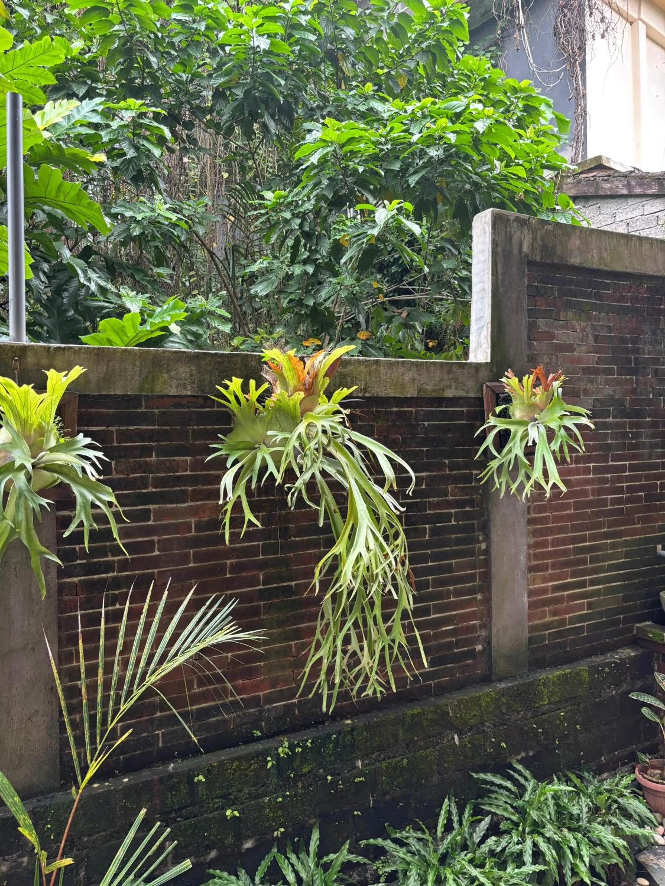 Garden in Adi Jaya Cottages Ubud Suites by EPS - CHSE Certified