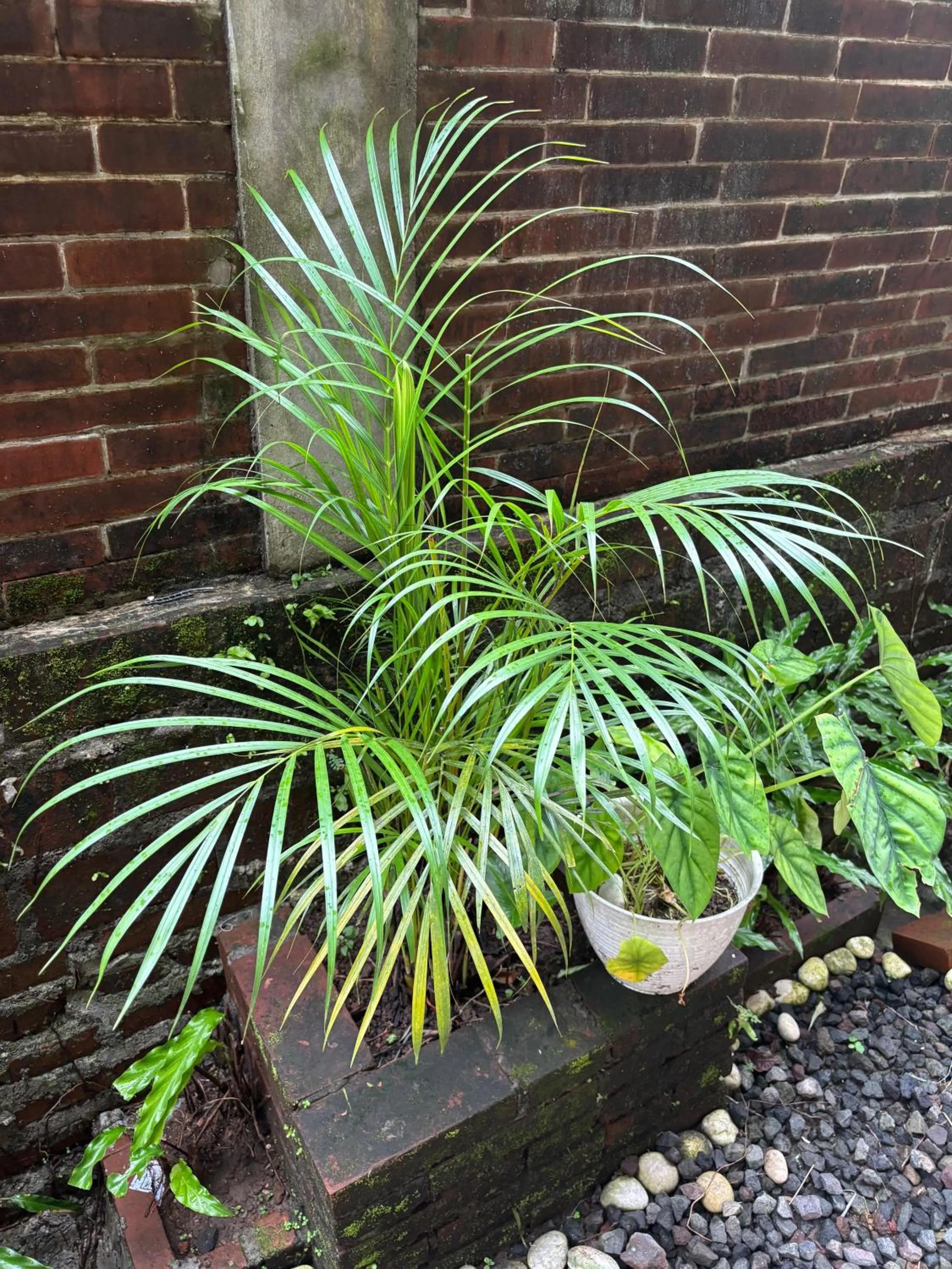 Garden view in Adi Jaya Cottages Ubud Suites by EPS - CHSE Certified