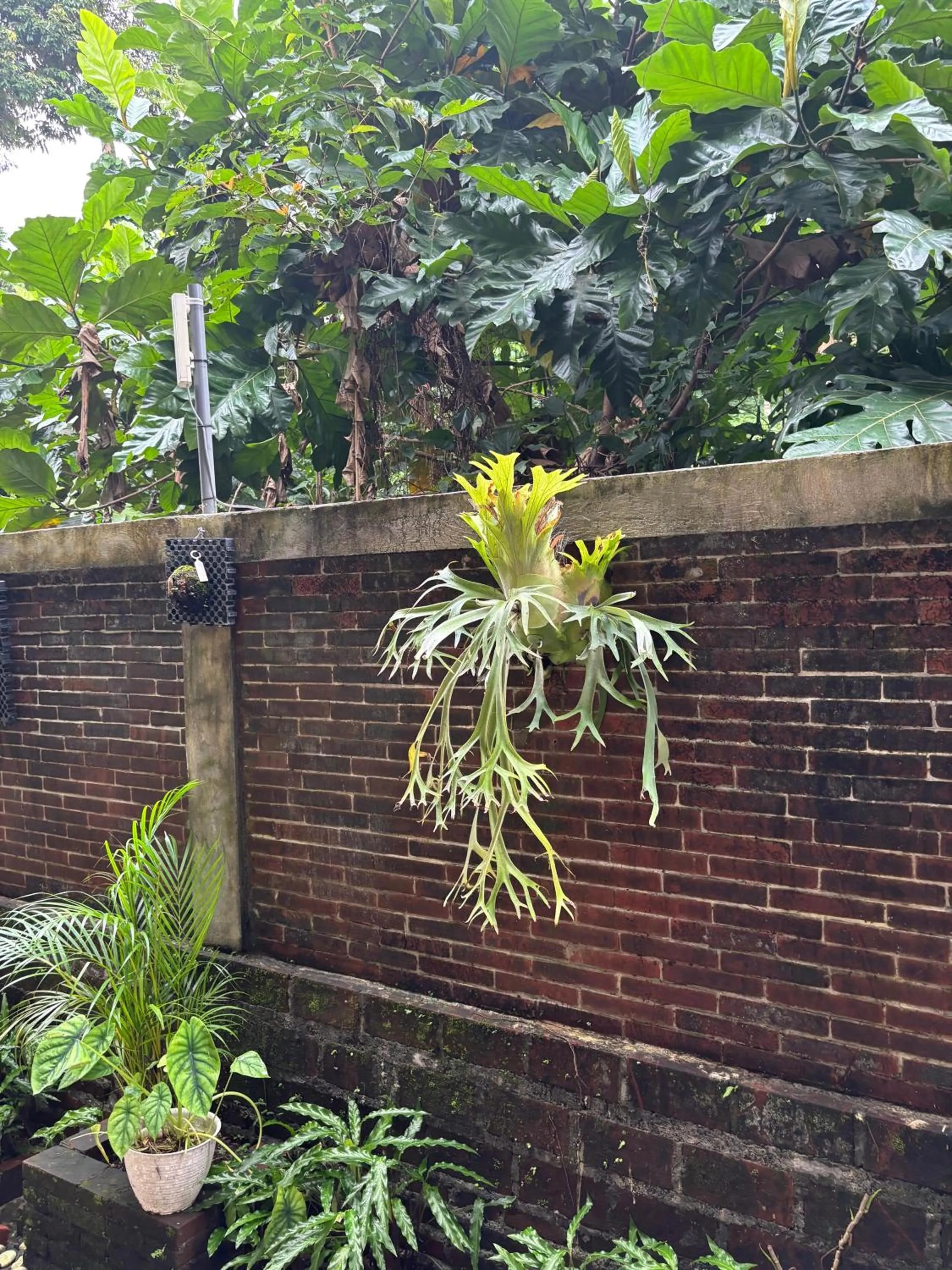 Garden view in Adi Jaya Cottages Ubud Suites by EPS - CHSE Certified