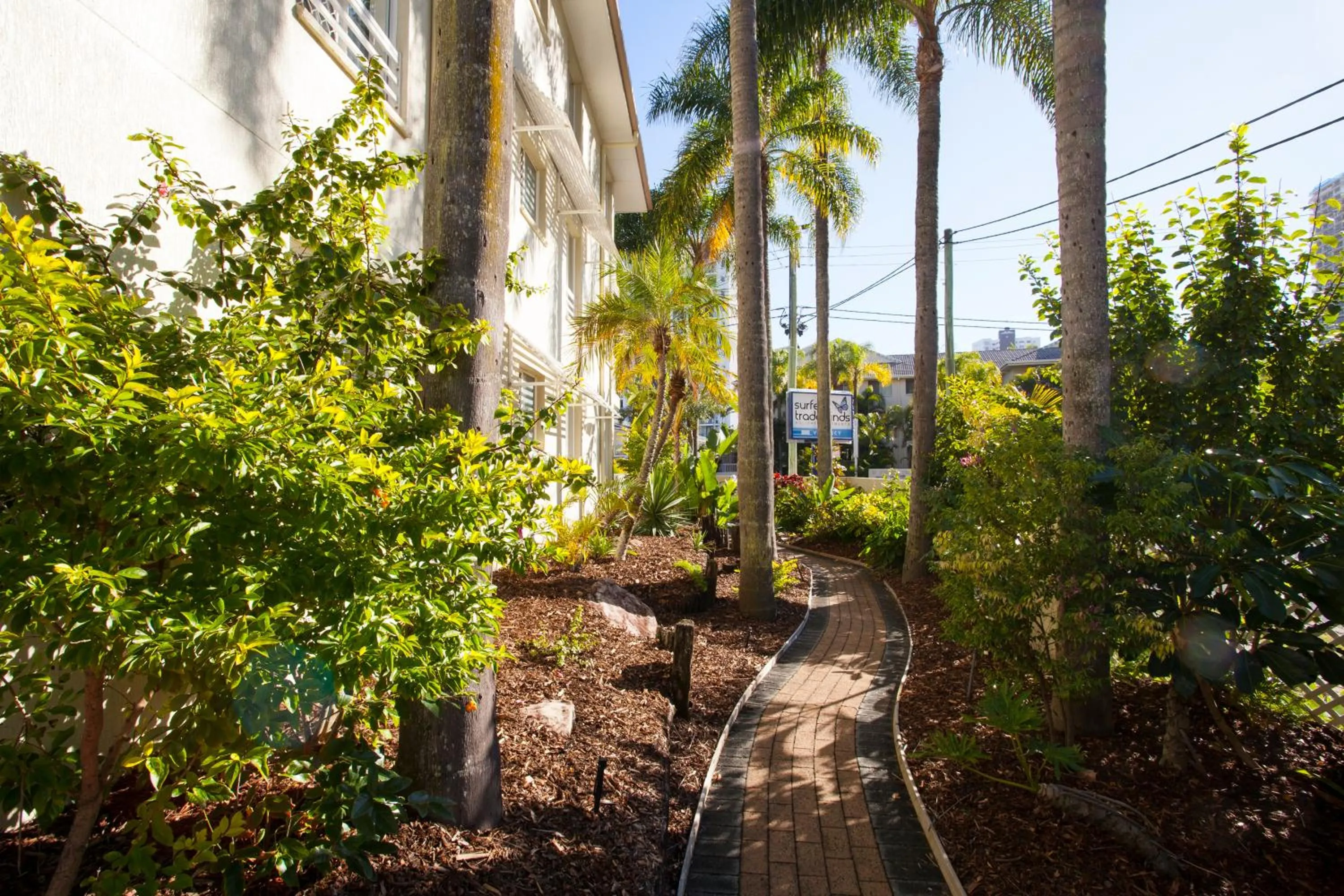 Garden in Surfers Tradewinds