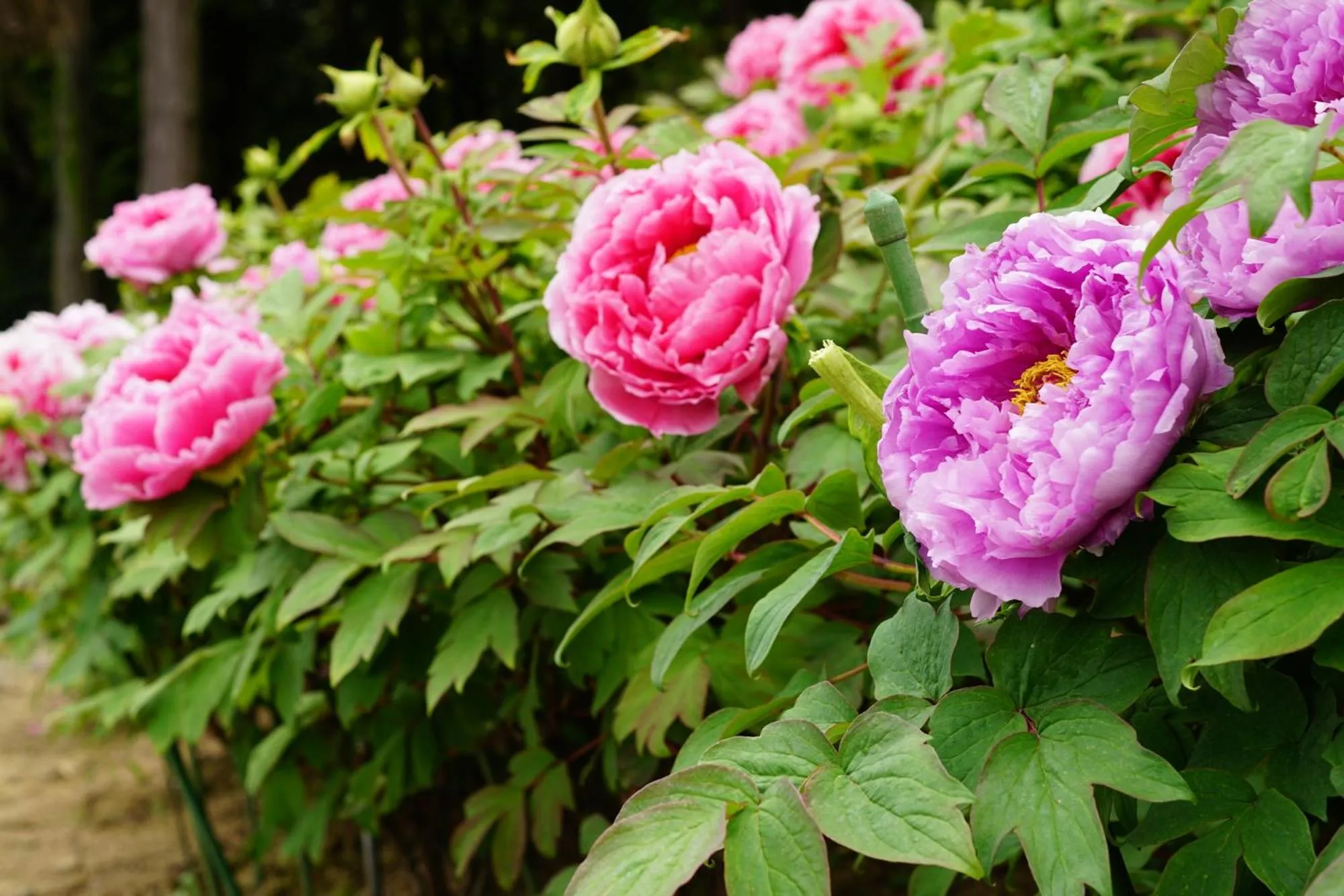 Nearby landmark in Tabist Tsukuba Sky Hotel