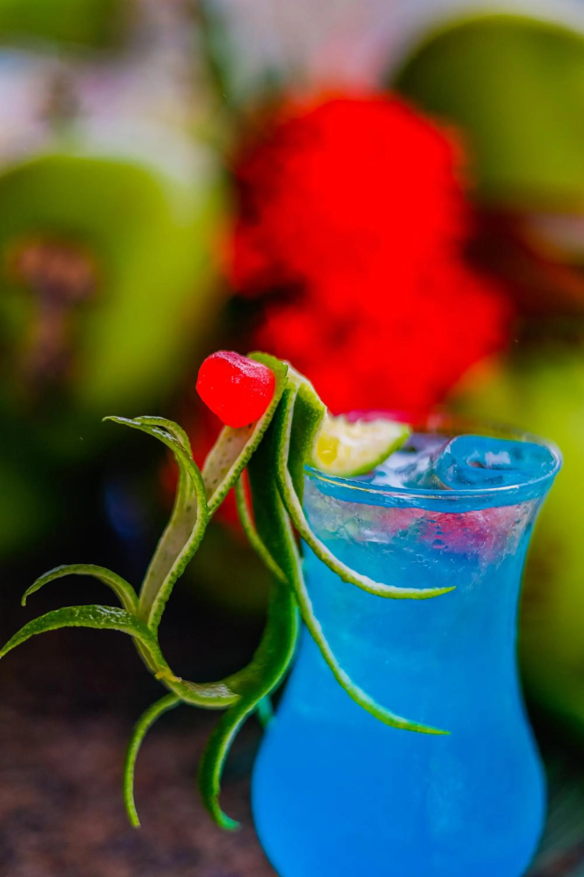 Lounge or bar in Pousada Polymar