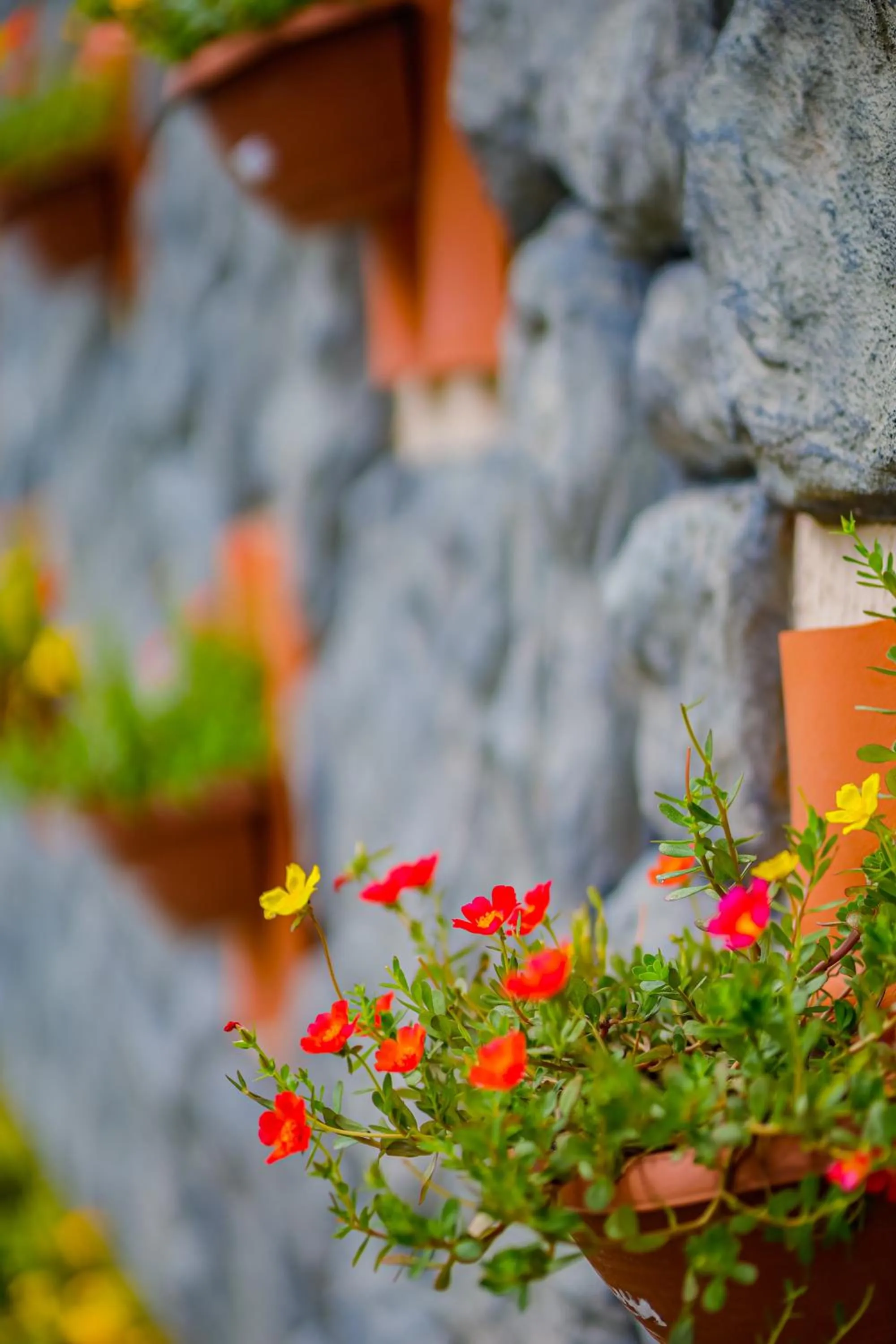 Natural landscape in Pousada Polymar