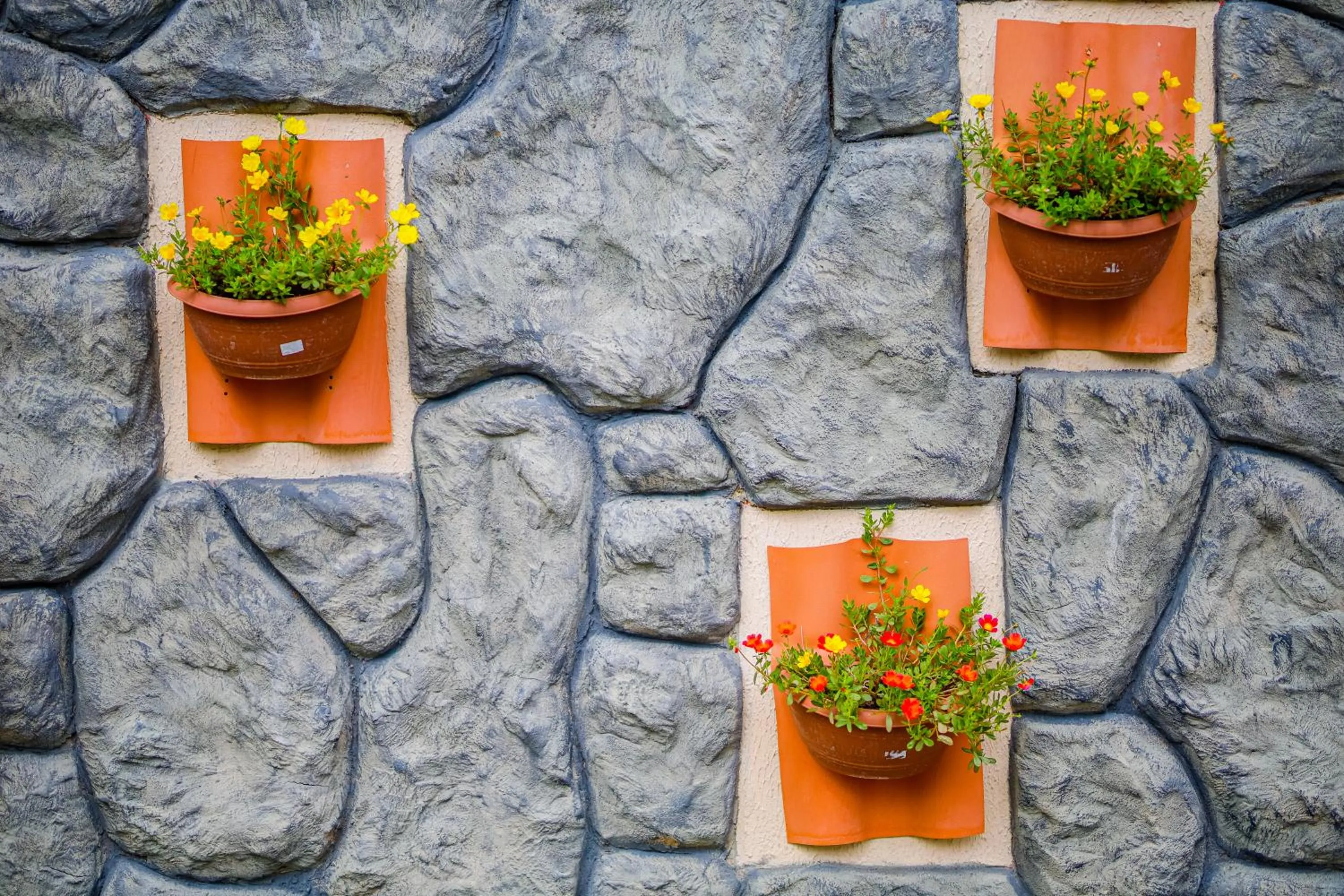 Day in Pousada Polymar