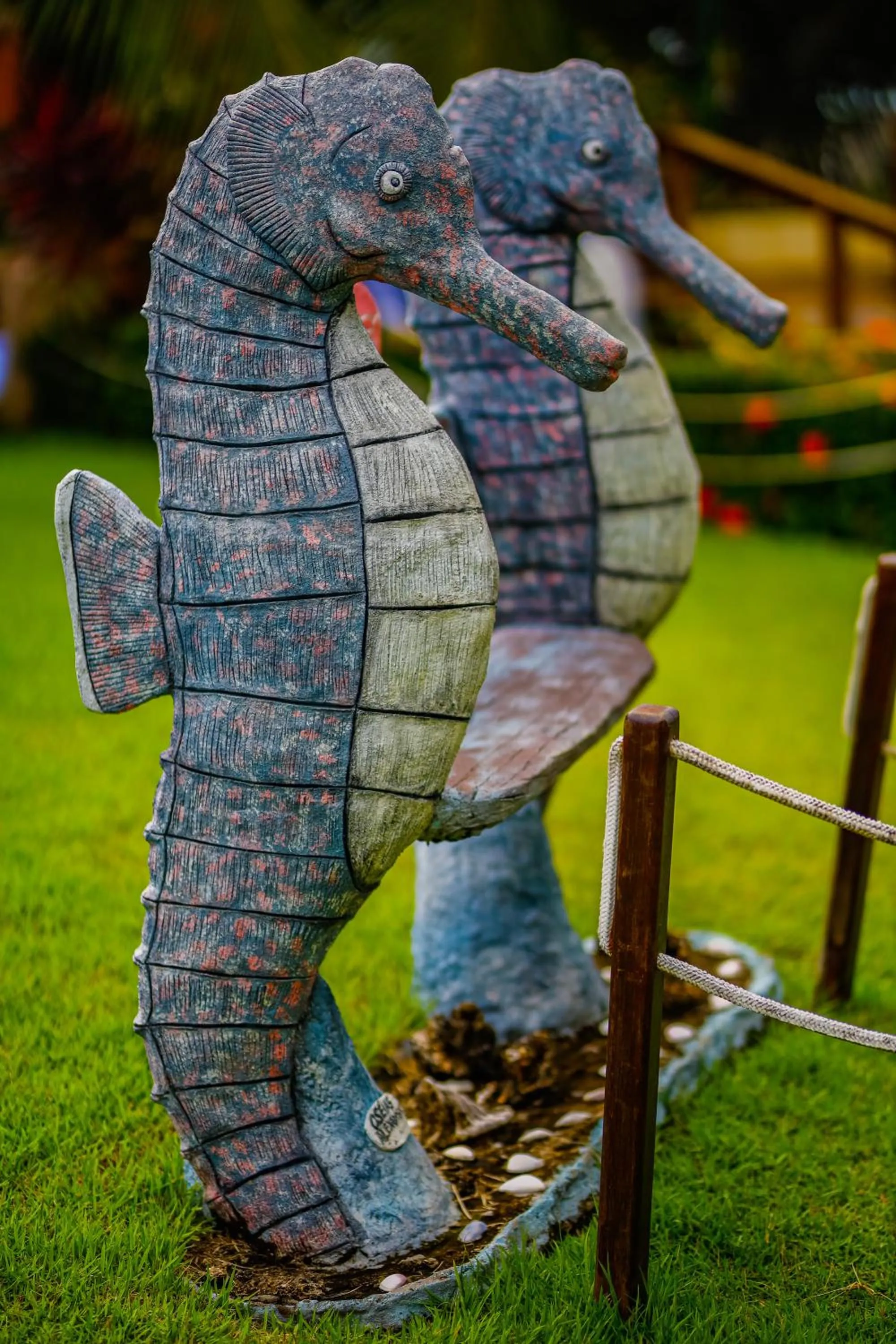 Day in Pousada Polymar