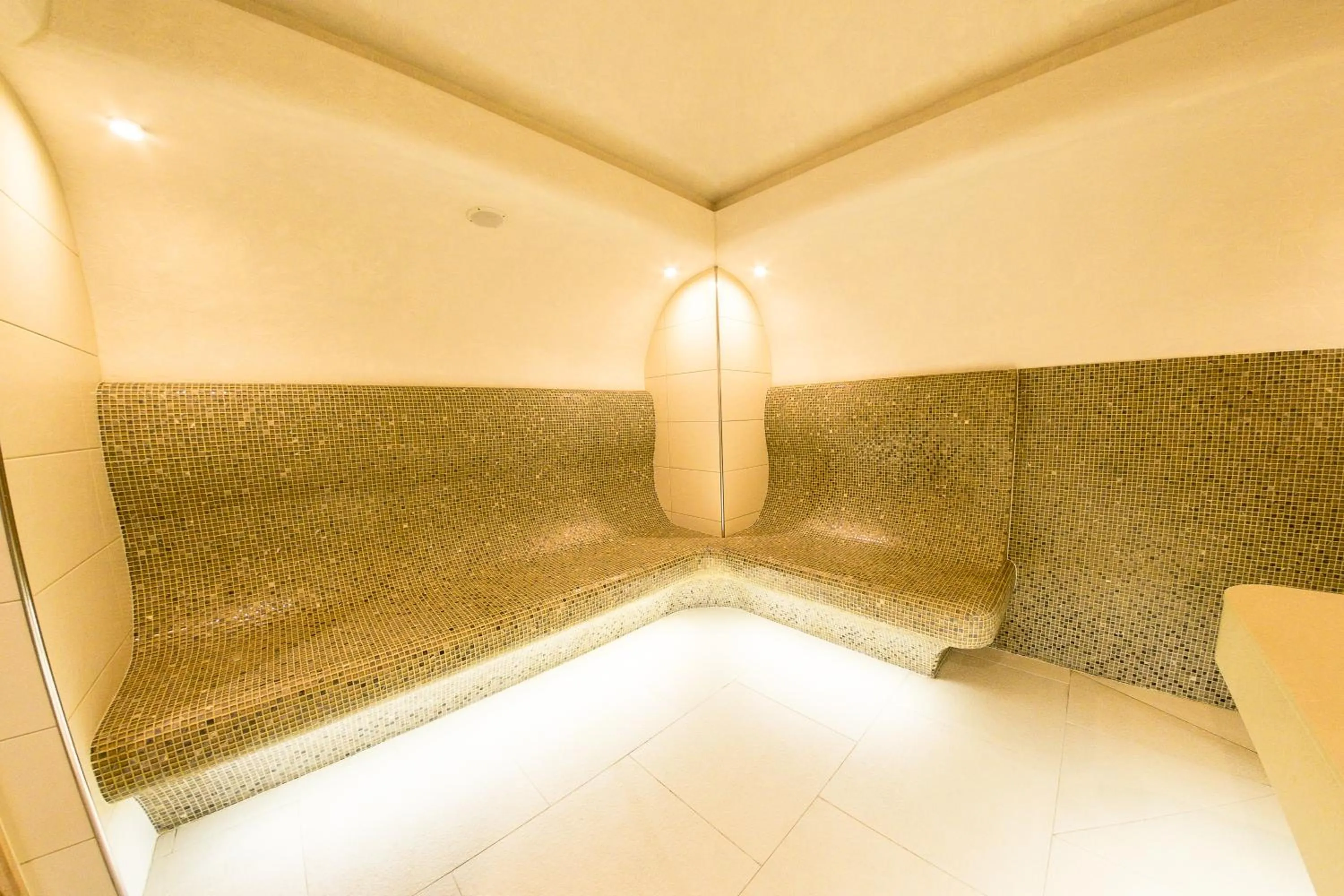 Steam room in Schloss Hotel Wolfsbrunnen