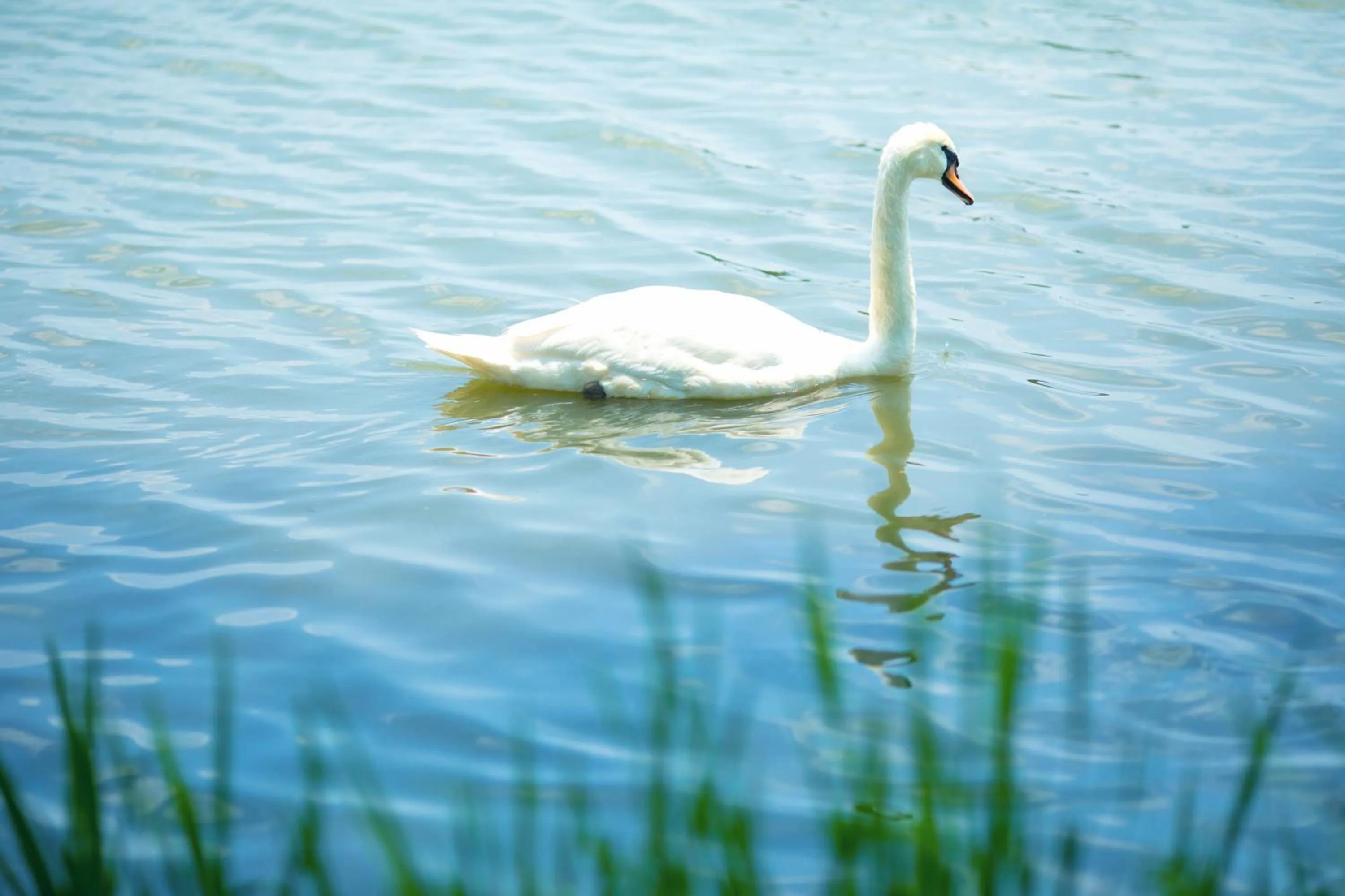 Nearby landmark in Mito Hotel Season
