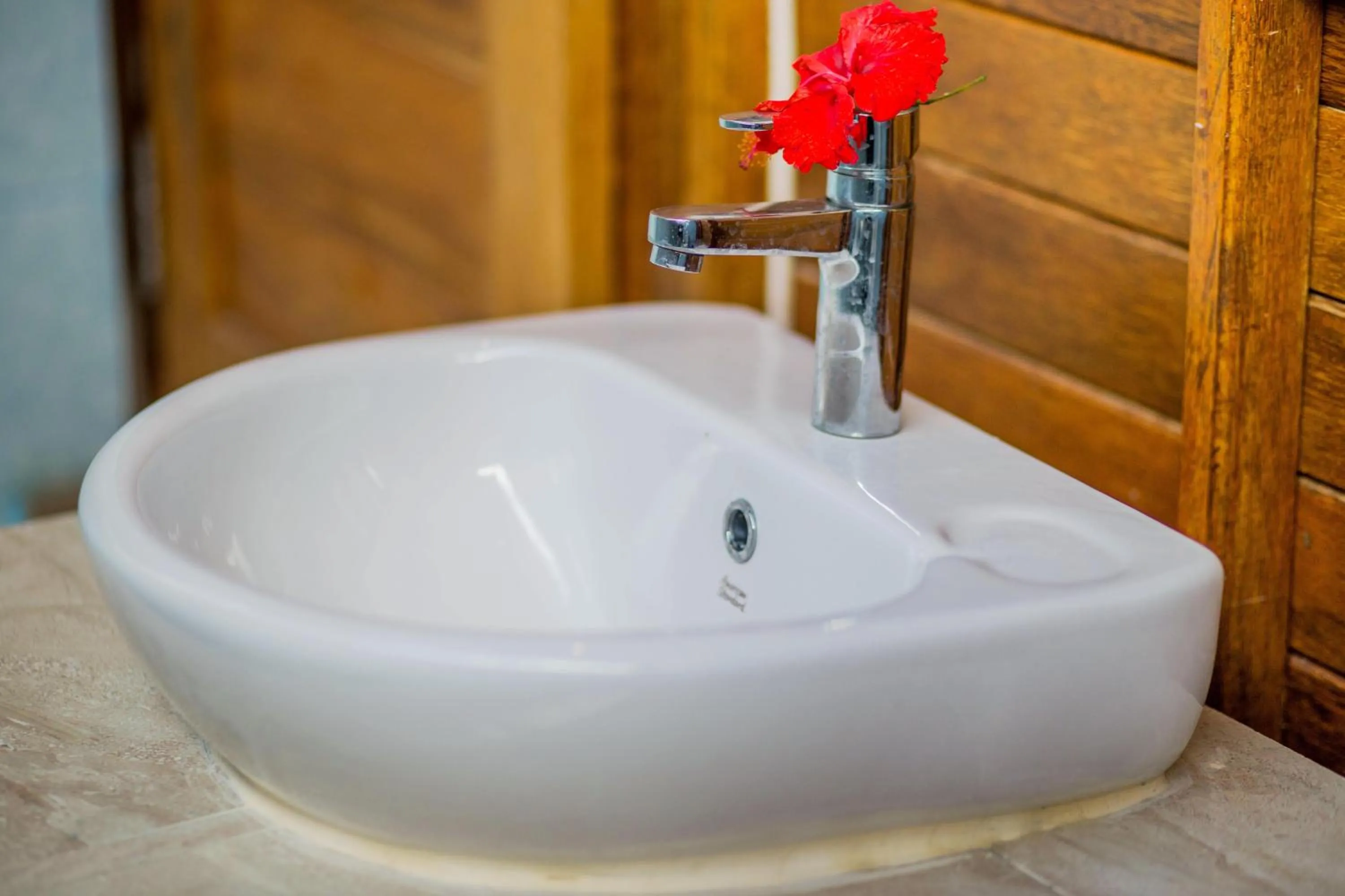 Area and facilities in Sea Bridge Villa Ceningan