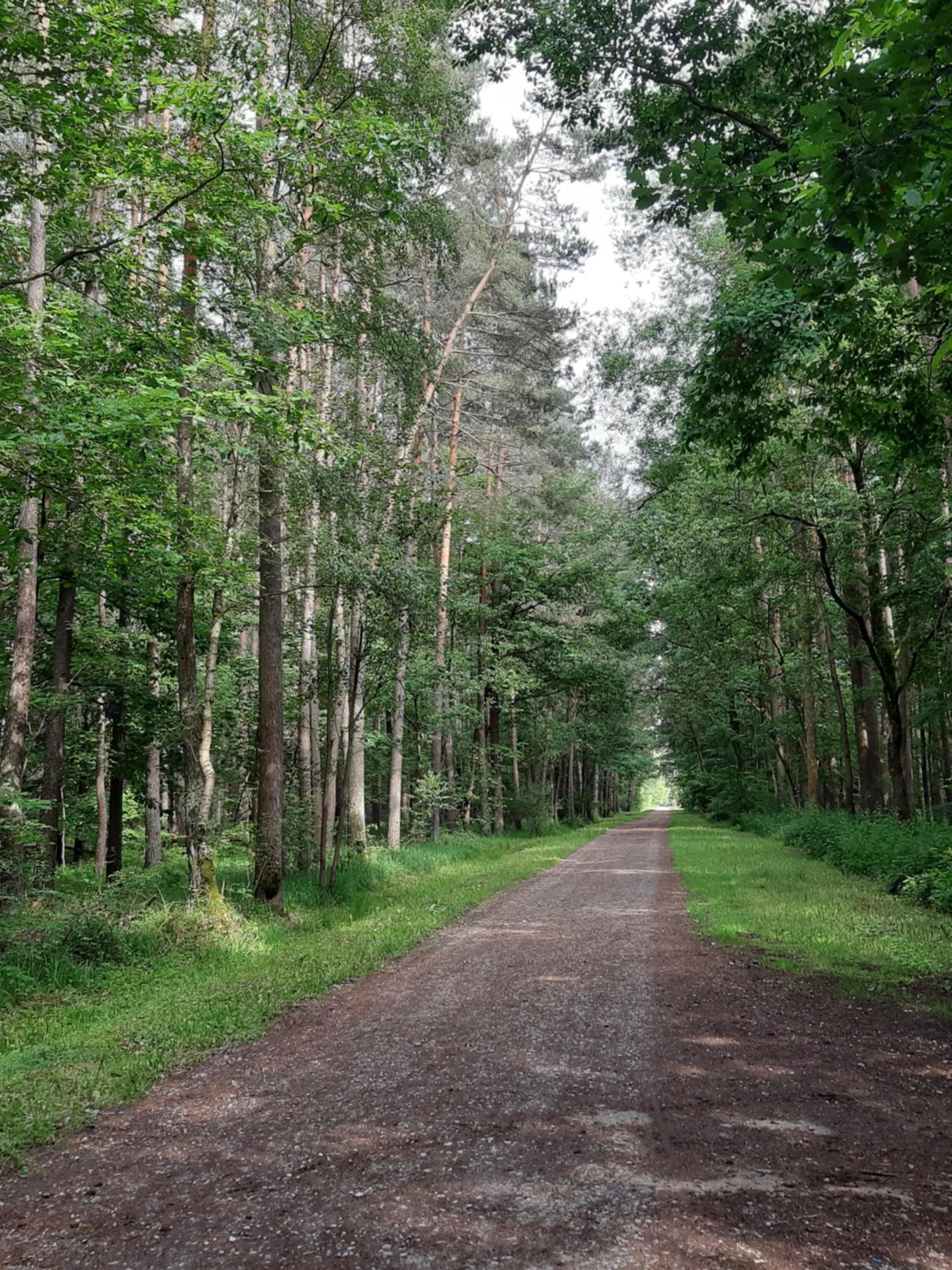 Natural landscape in Rossano Boutique Hotel & Ristorante