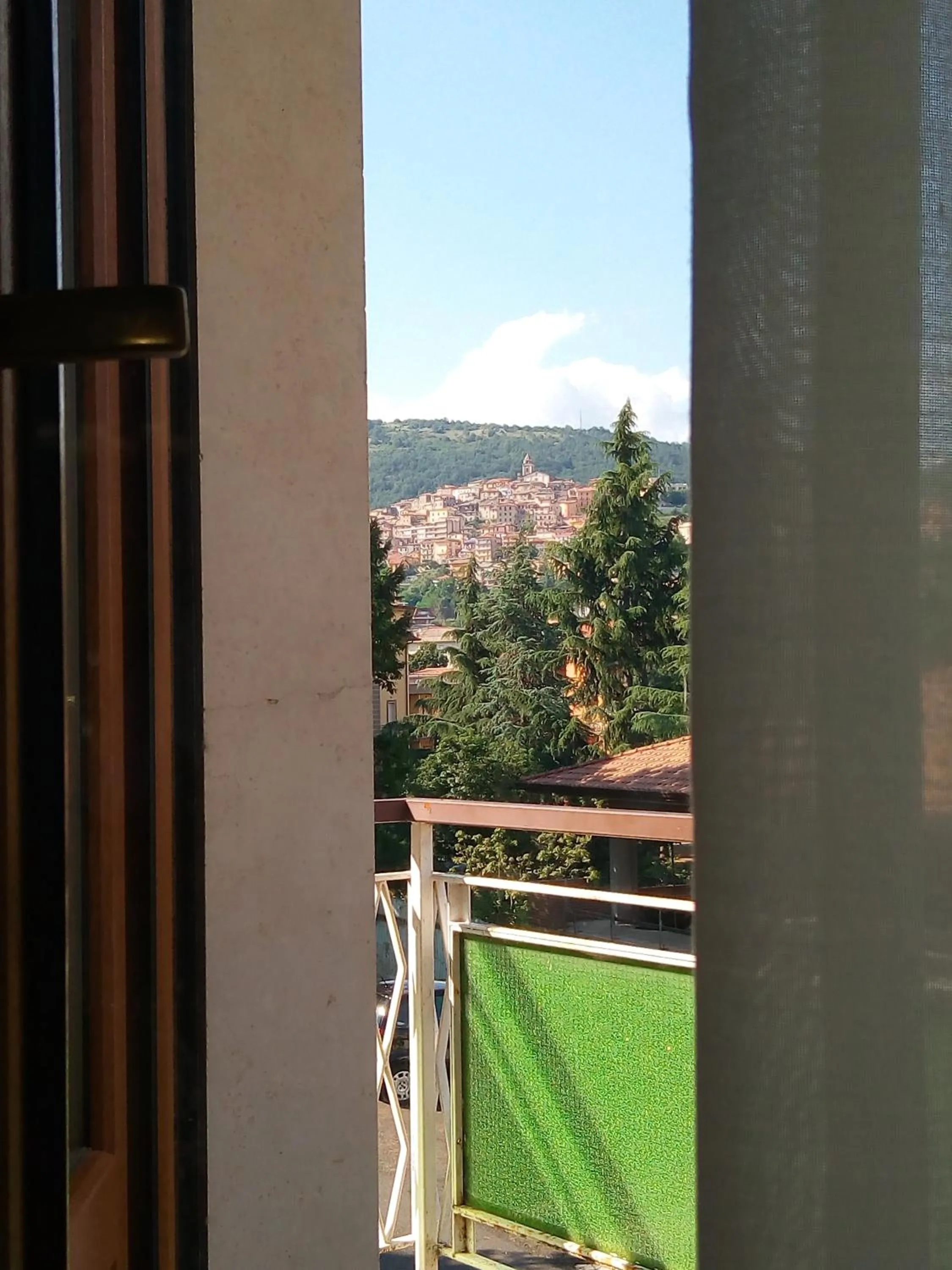 Balcony/Terrace in Hotel Fleming