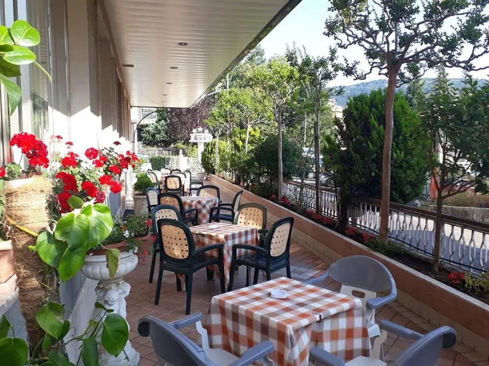 Garden in Hotel Fleming