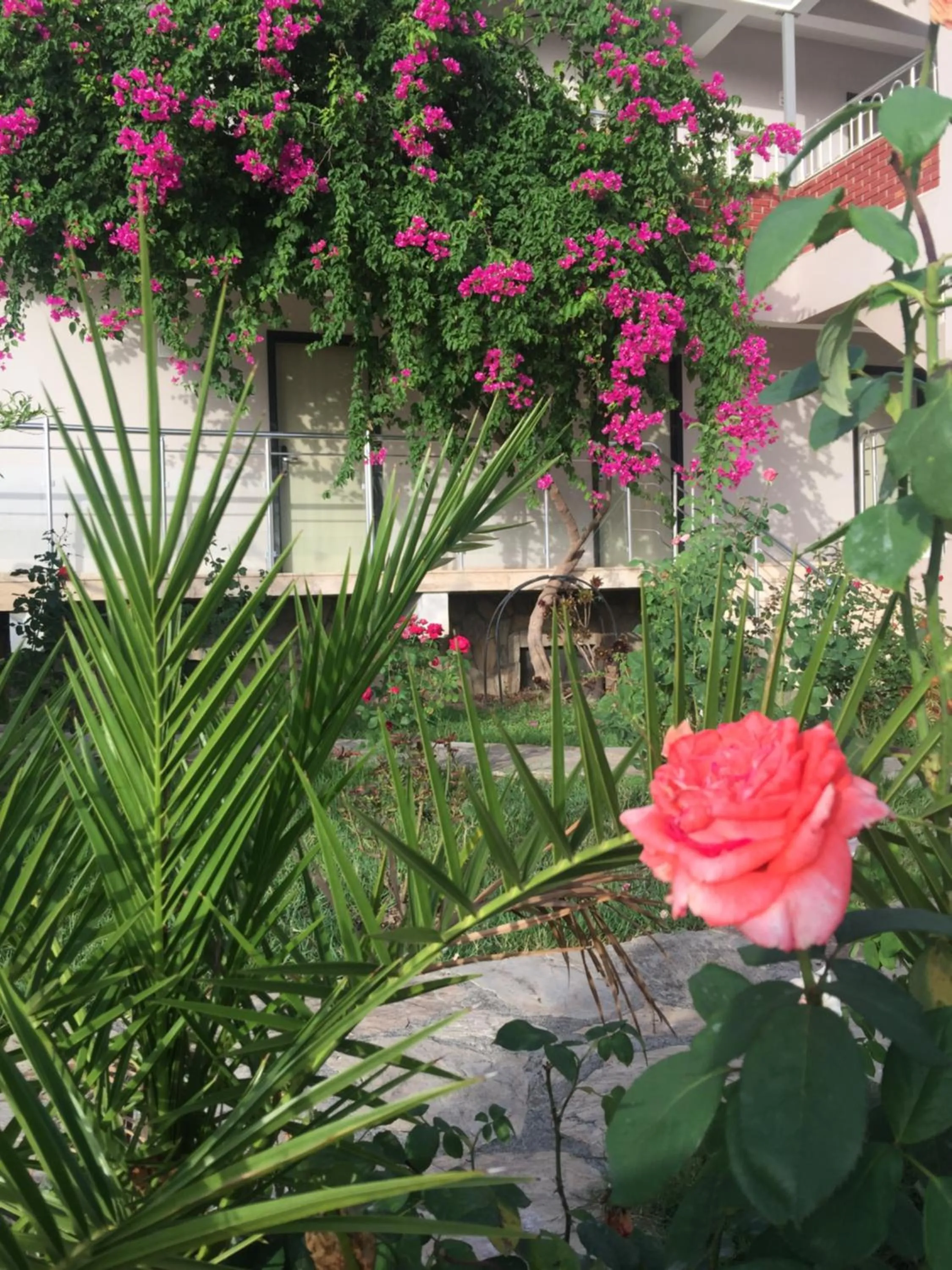 Garden in Dalyan Palmiye Resort Hotel