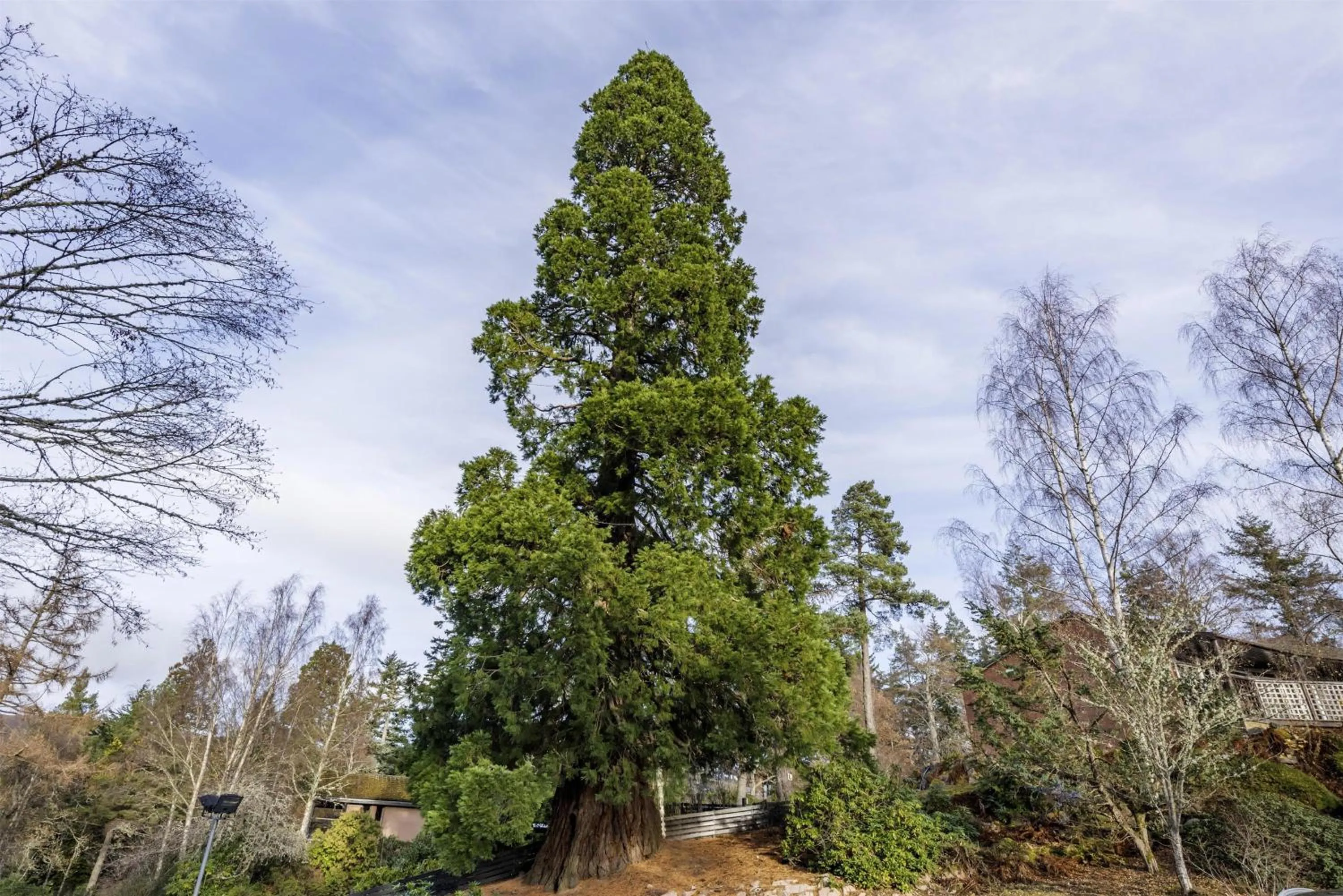 Property building in Hilton Grand Vacations Club Craigendarroch Suites Scotland