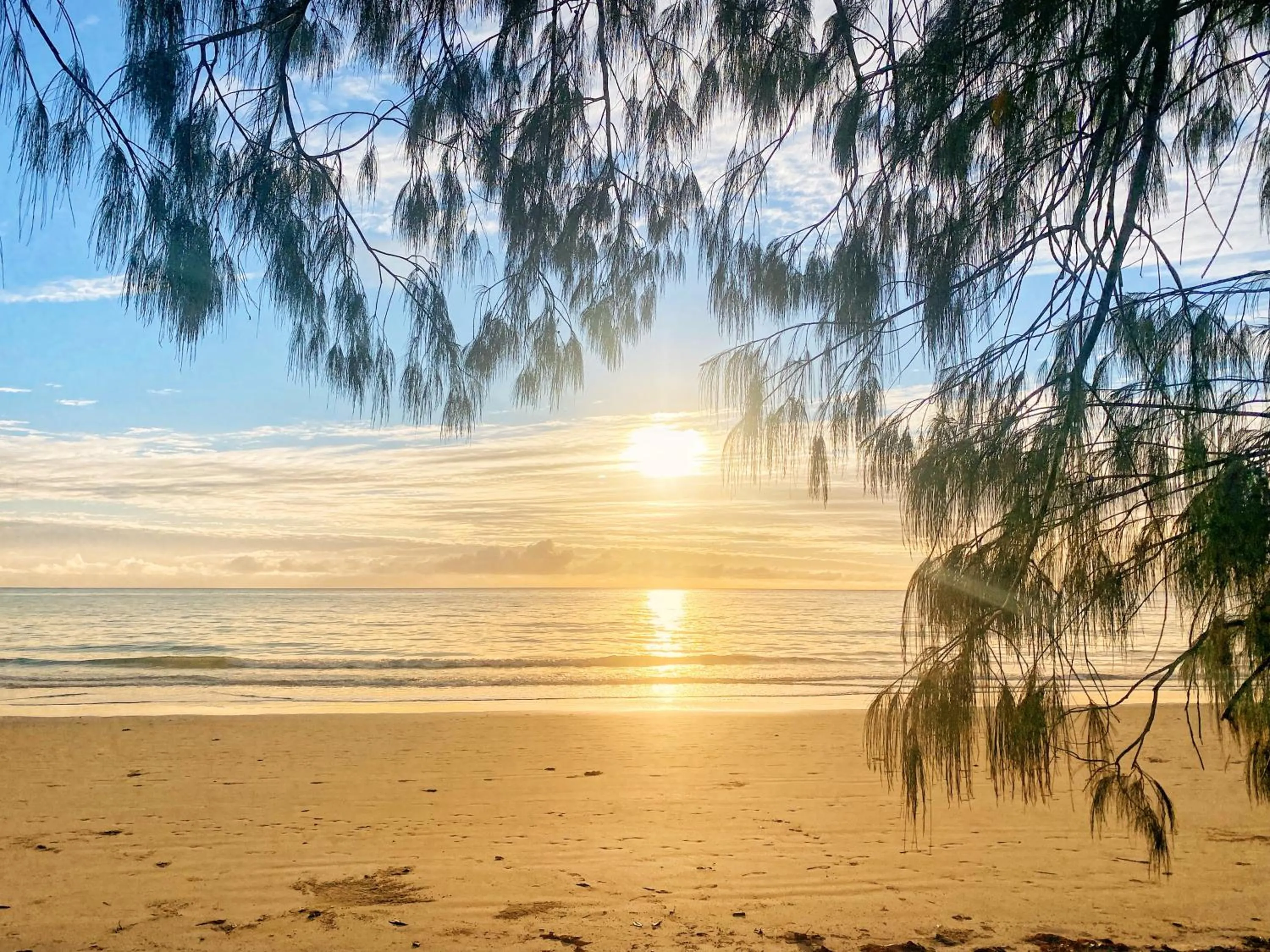 Beach in Lychee Tree Holiday Apartments
