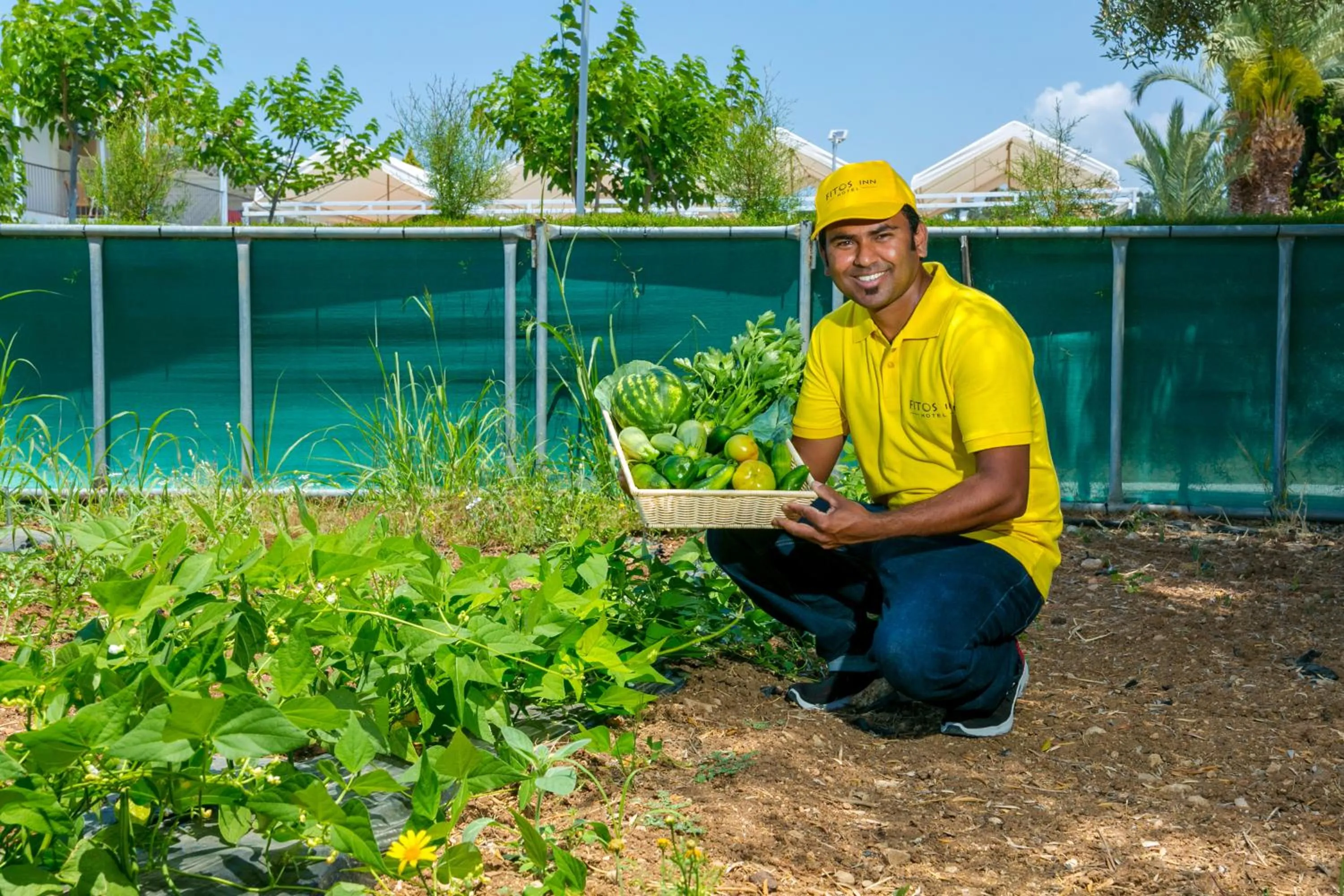 Garden in Fitosinn Hotel