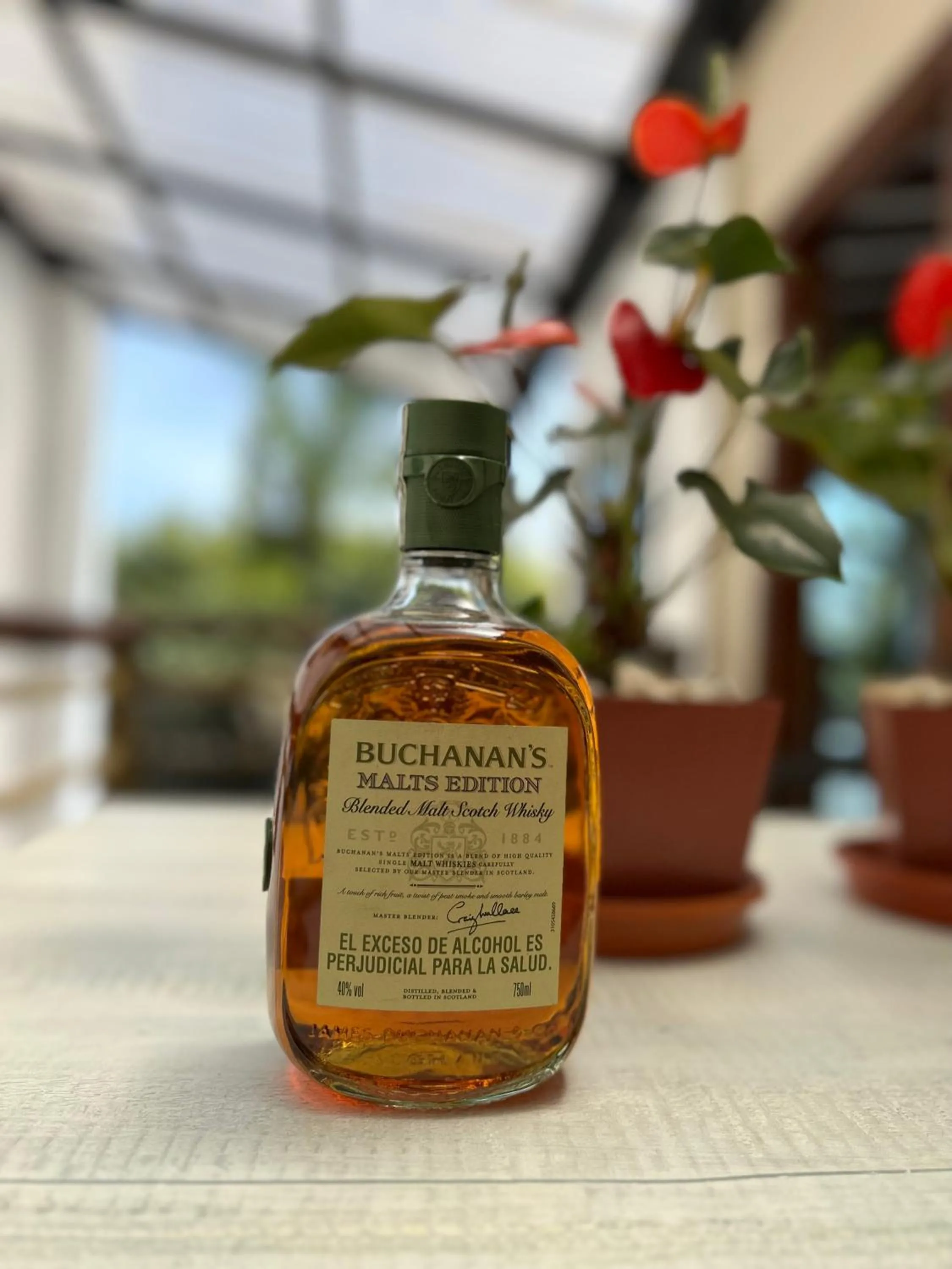 Day in Hotel Campo Real