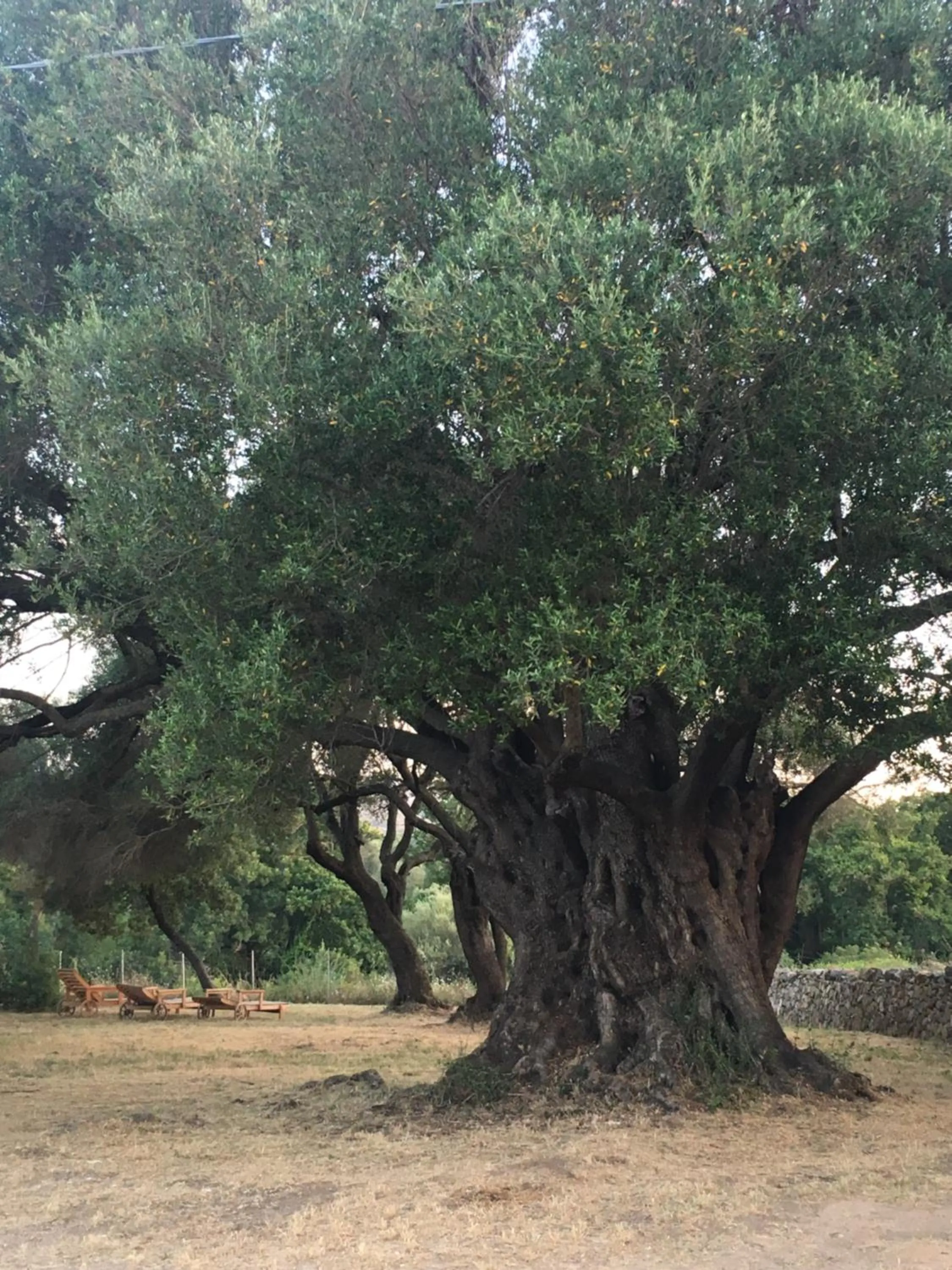 Bird's eye view in B&B Li Tauli