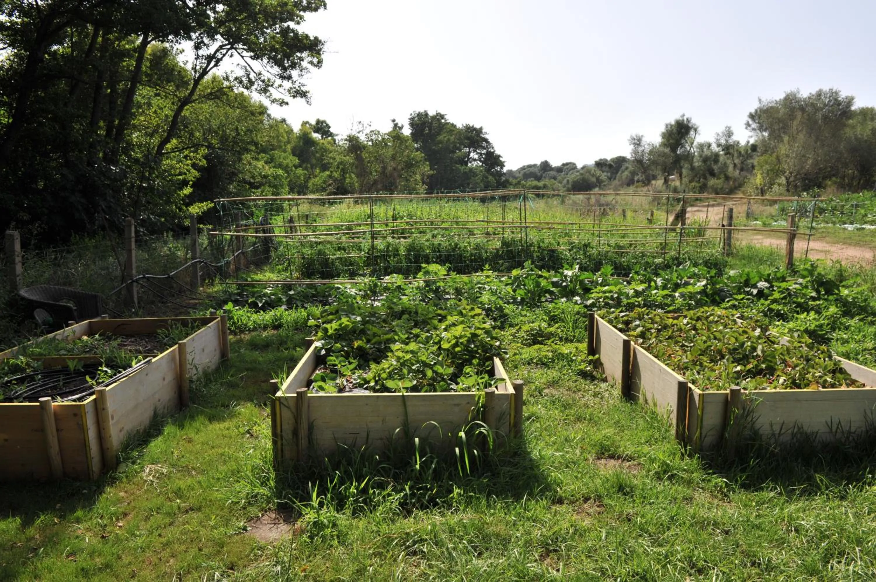 Property building in B&B Li Tauli