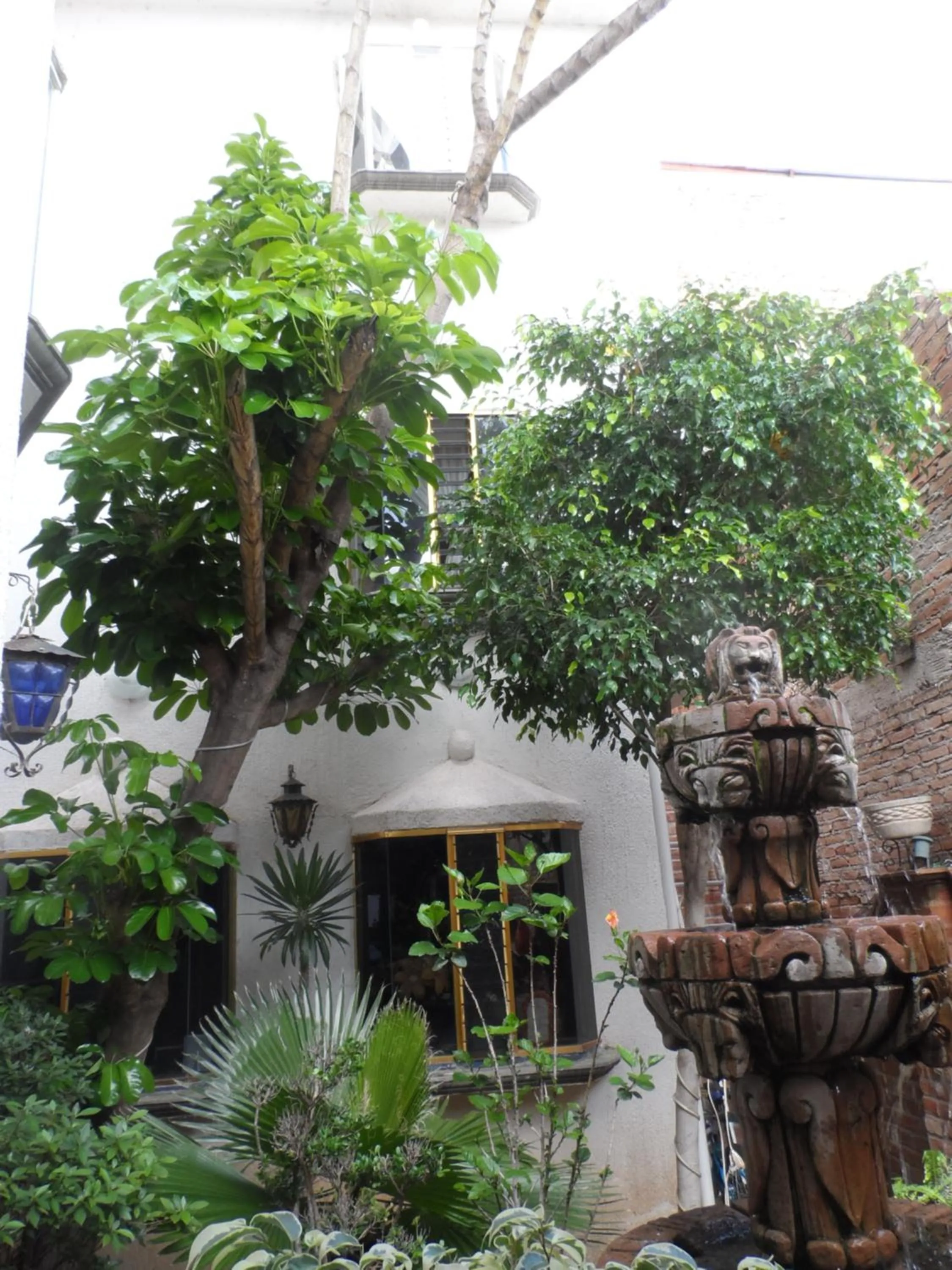 Facade/entrance in Hotel Internacional Malitsin