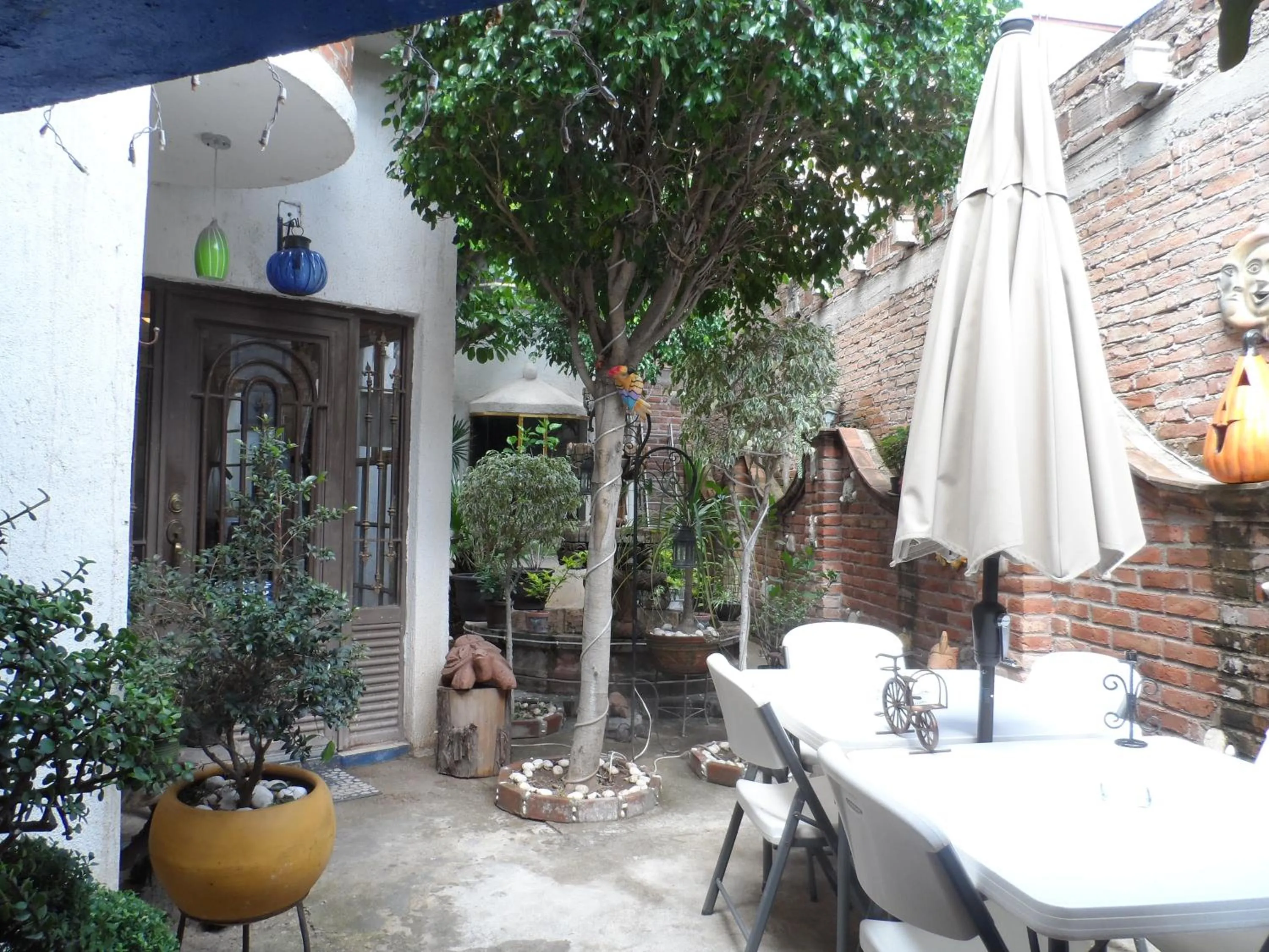 Garden in Hotel Internacional Malitsin