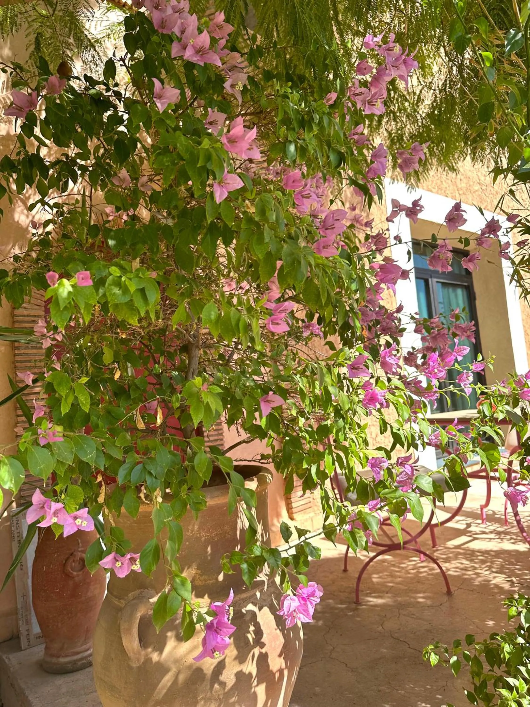 Balcony/Terrace in La Villa Des Golfs & PinkCactus