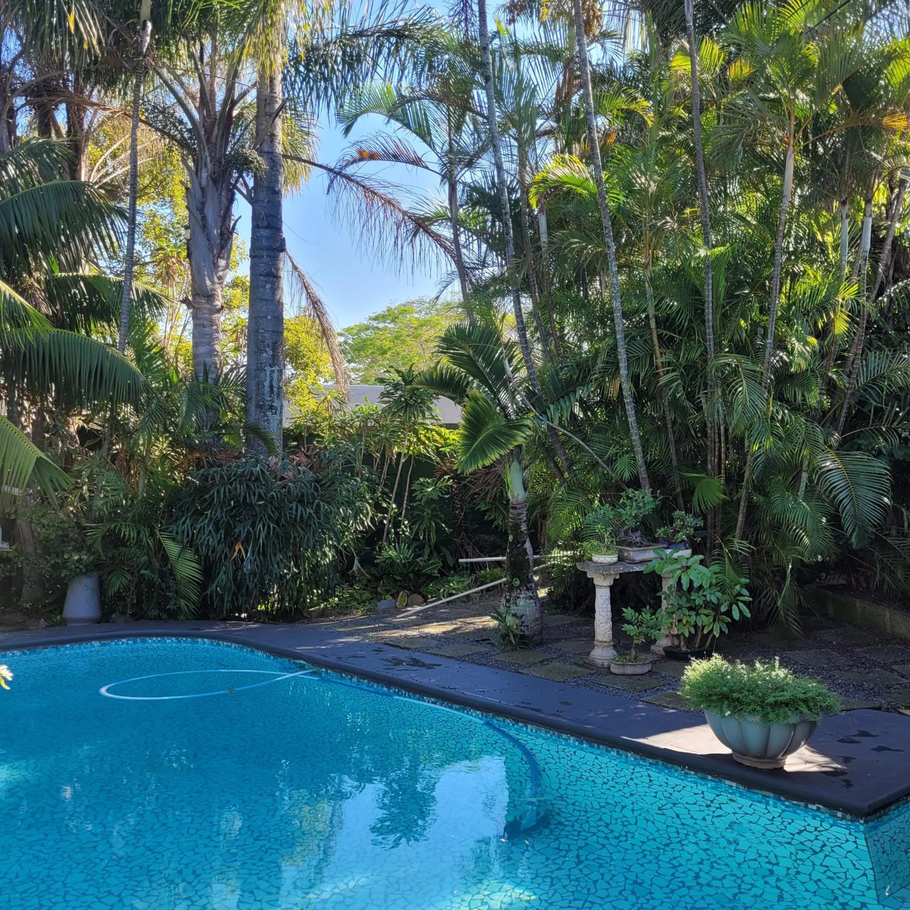 Swimming pool in Kennington Palms B&B/Self Catering