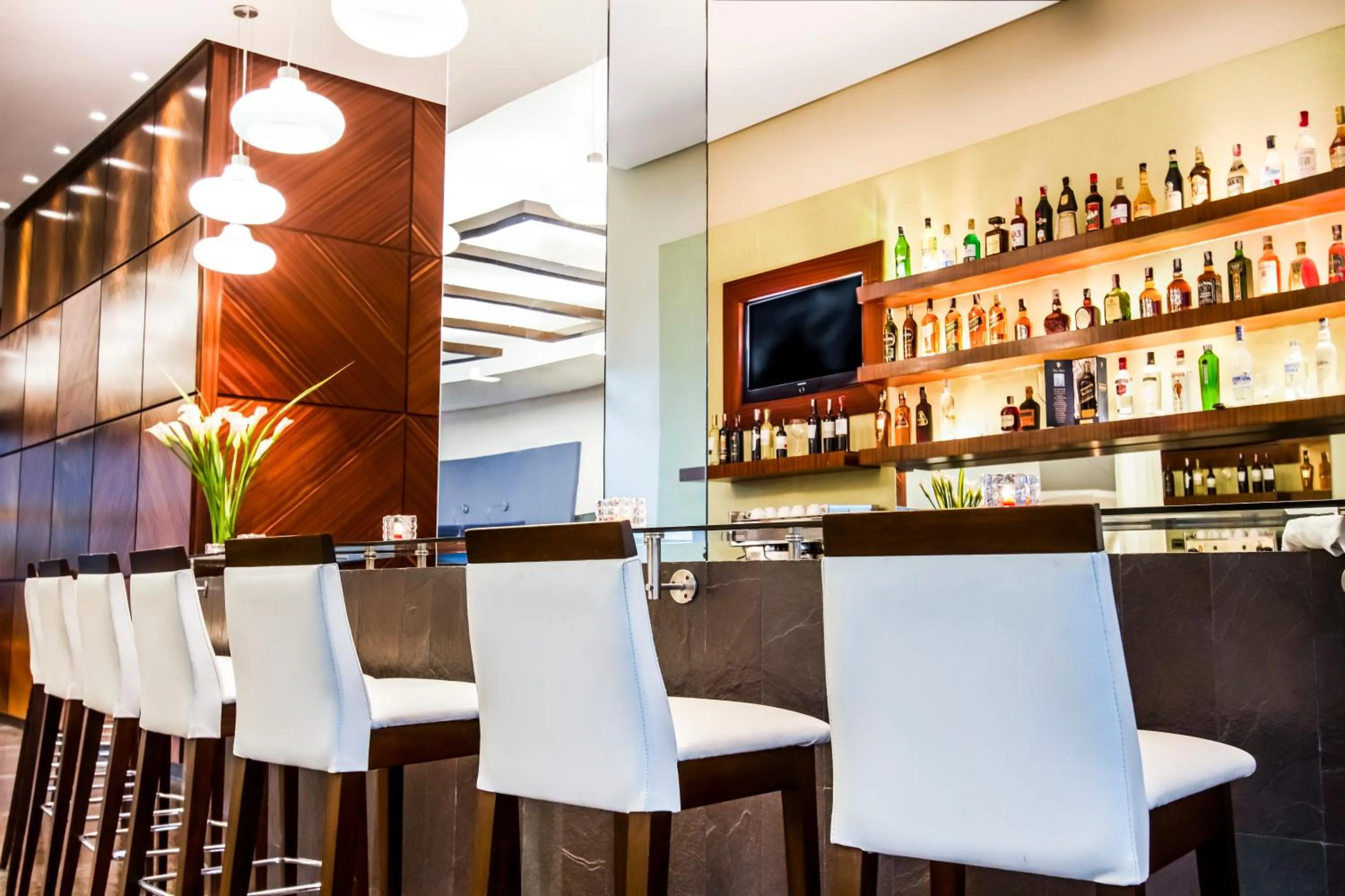 Lounge or bar in Lidotel Valencia