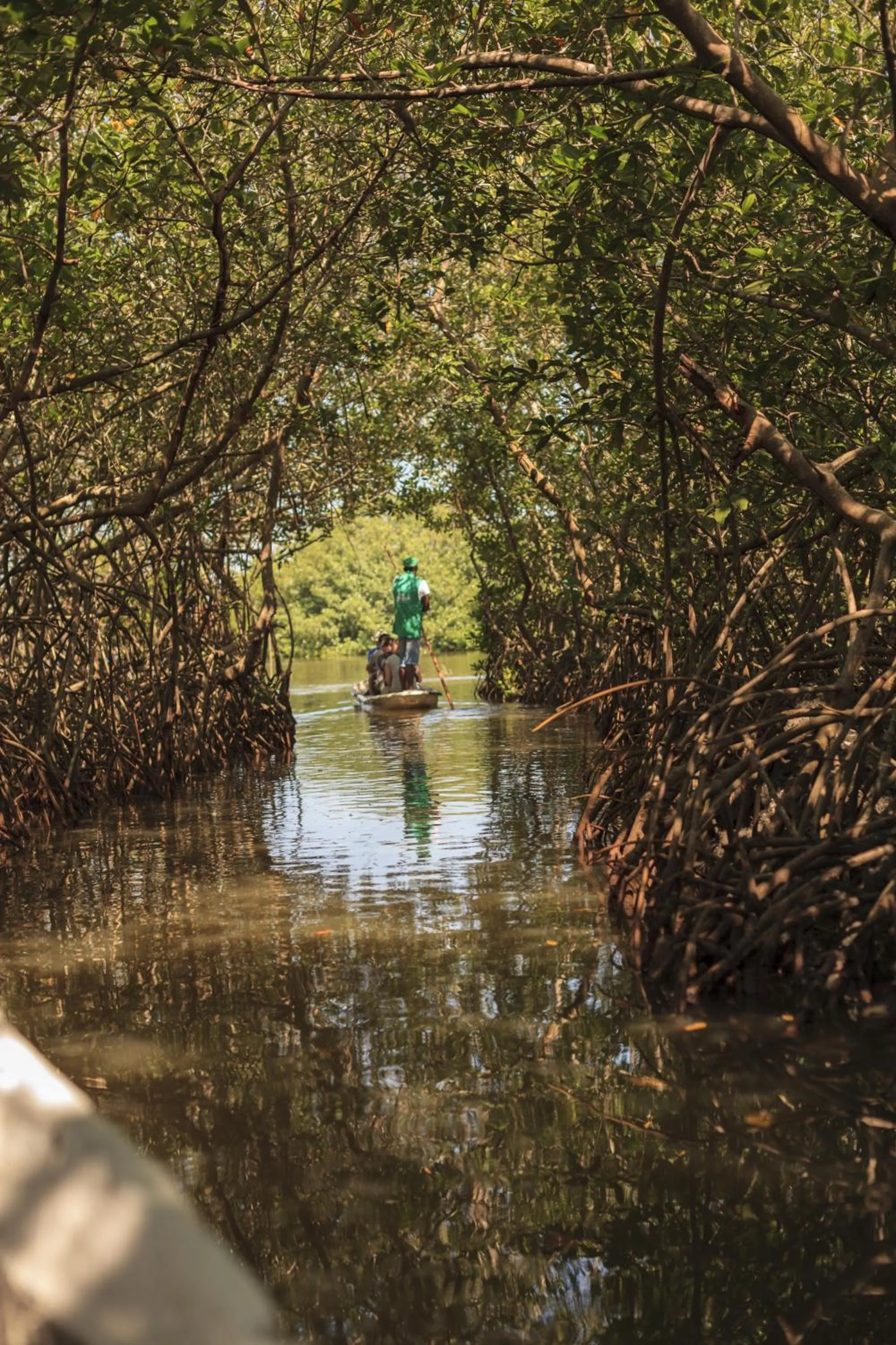 Day in Hotel San Pedro de Majagua